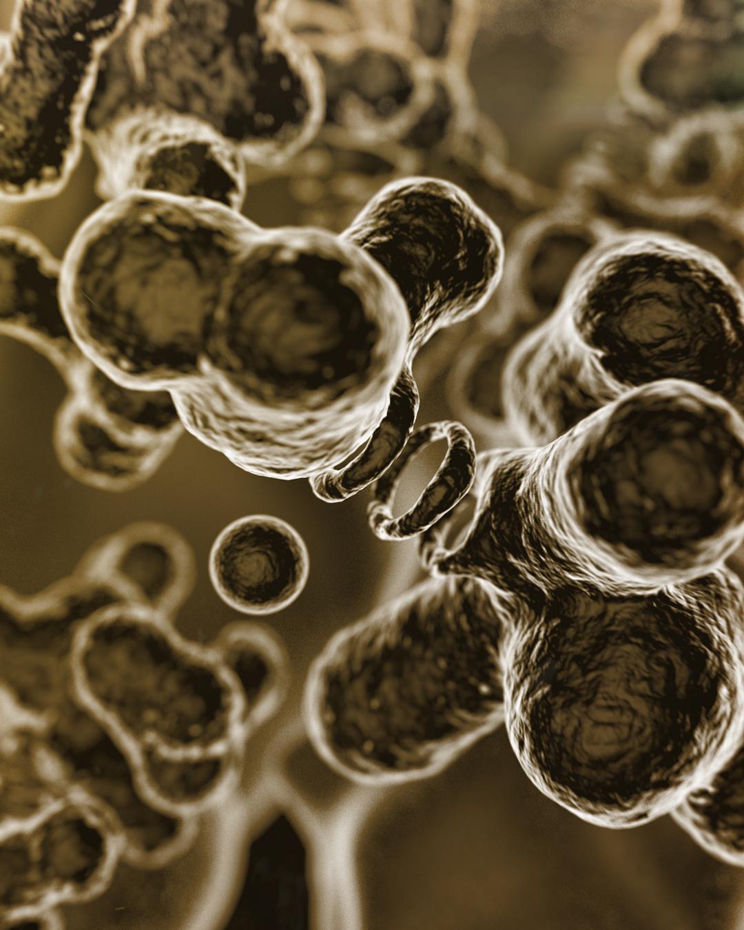 microscope styled objects - image 1 - student project