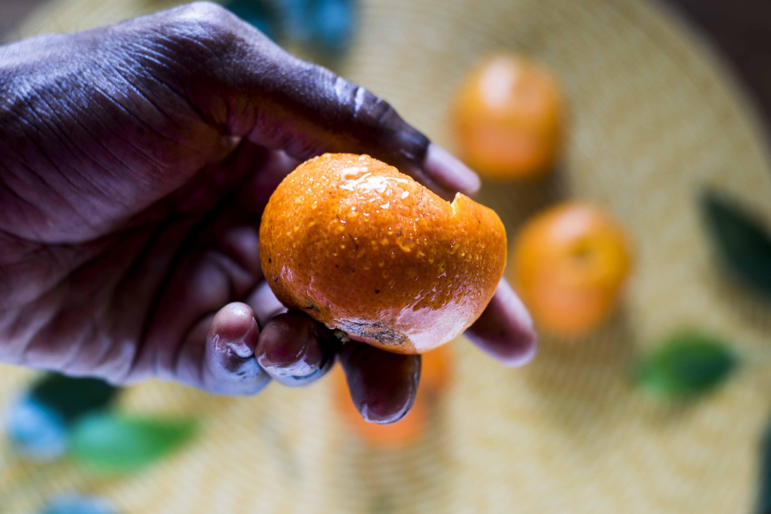 Clementines - image 1 - student project