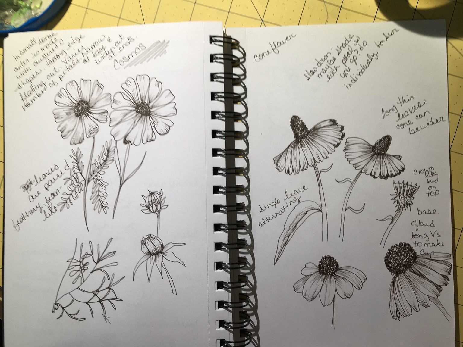 Shading. - image 2 - student project