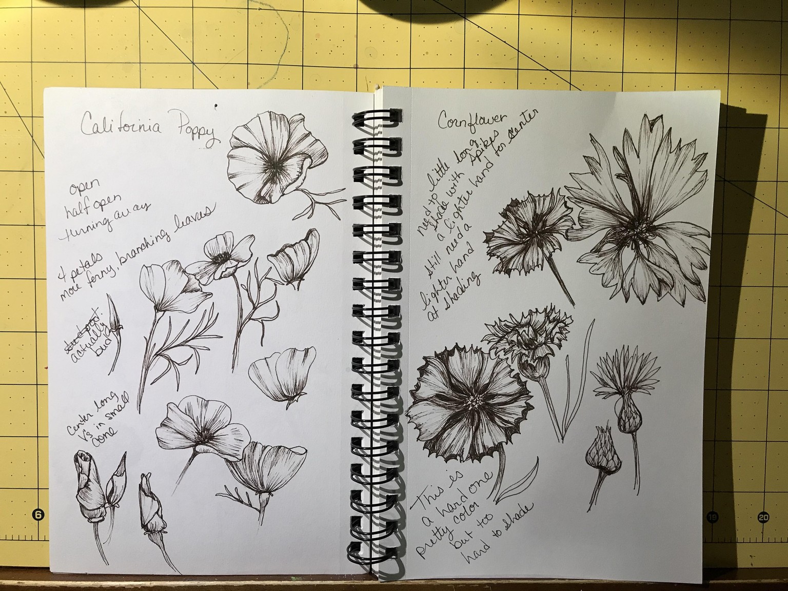 Shading. - image 1 - student project