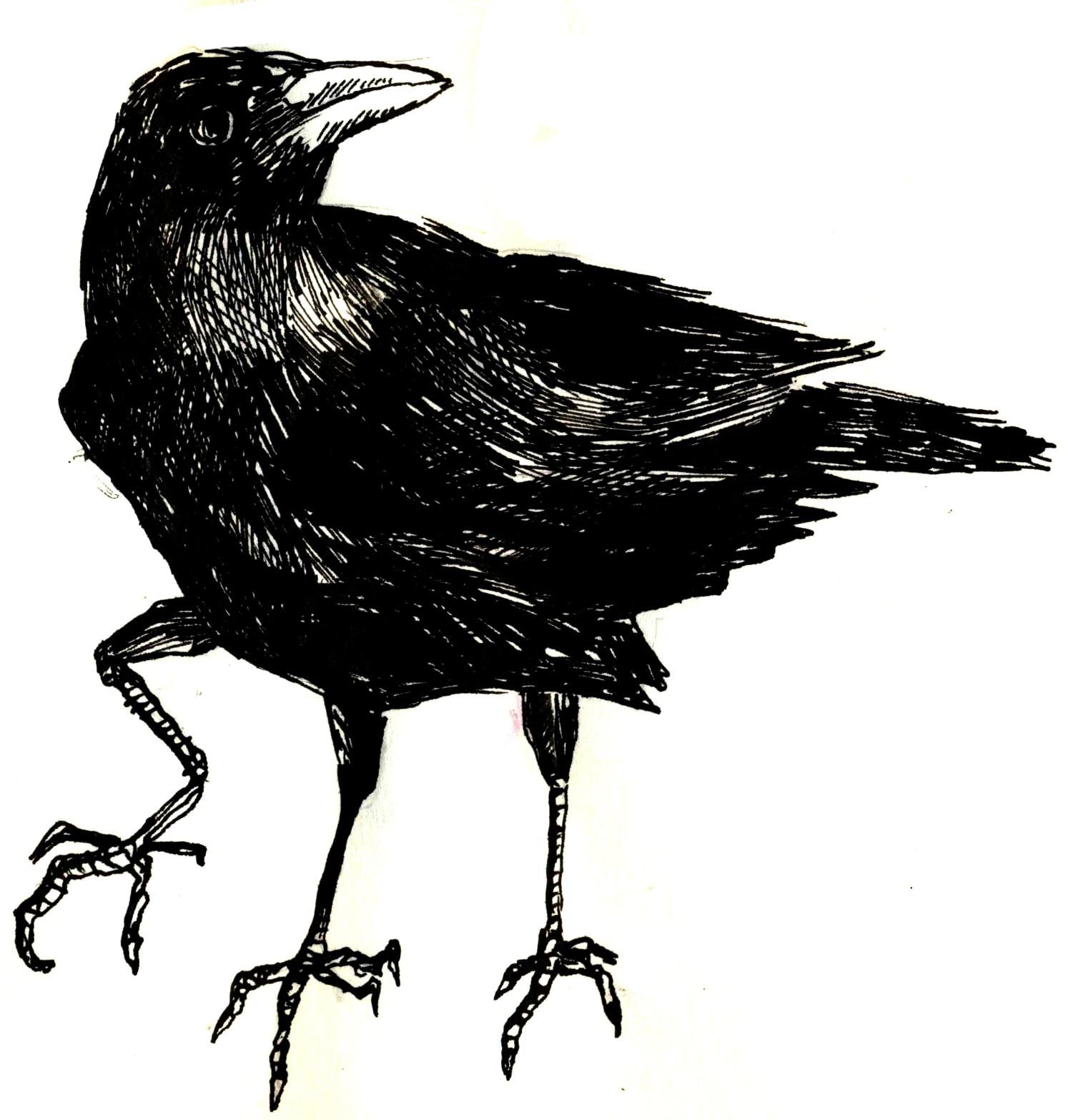 Three crows - image 2 - student project