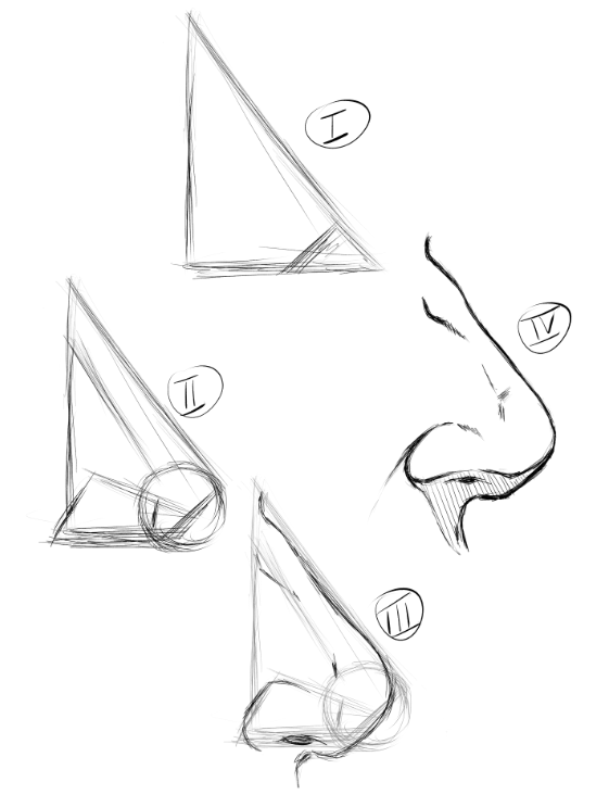 Nose study - image 2 - student project