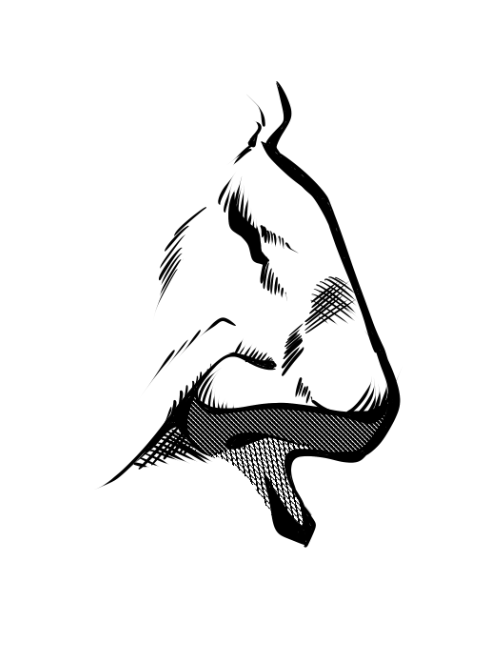 Line, shape and form - image 1 - student project