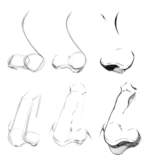 Nose study - image 1 - student project