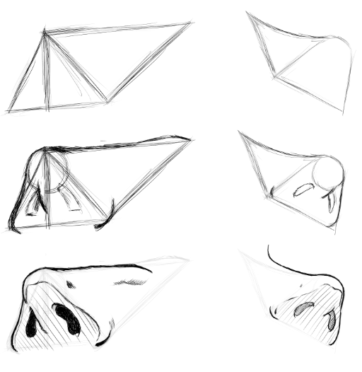 Nose study - image 3 - student project