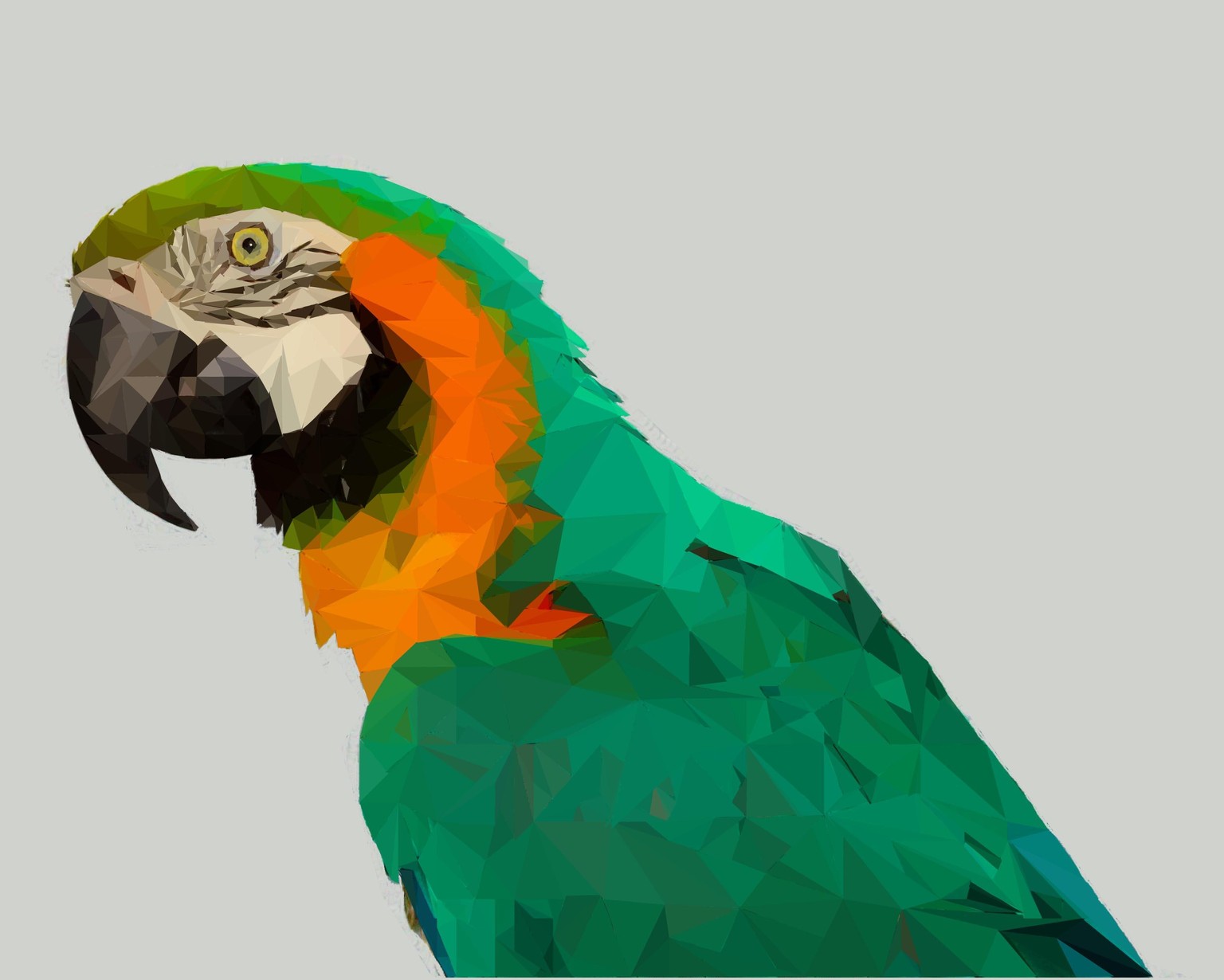 Poly Art Project - image 2 - student project