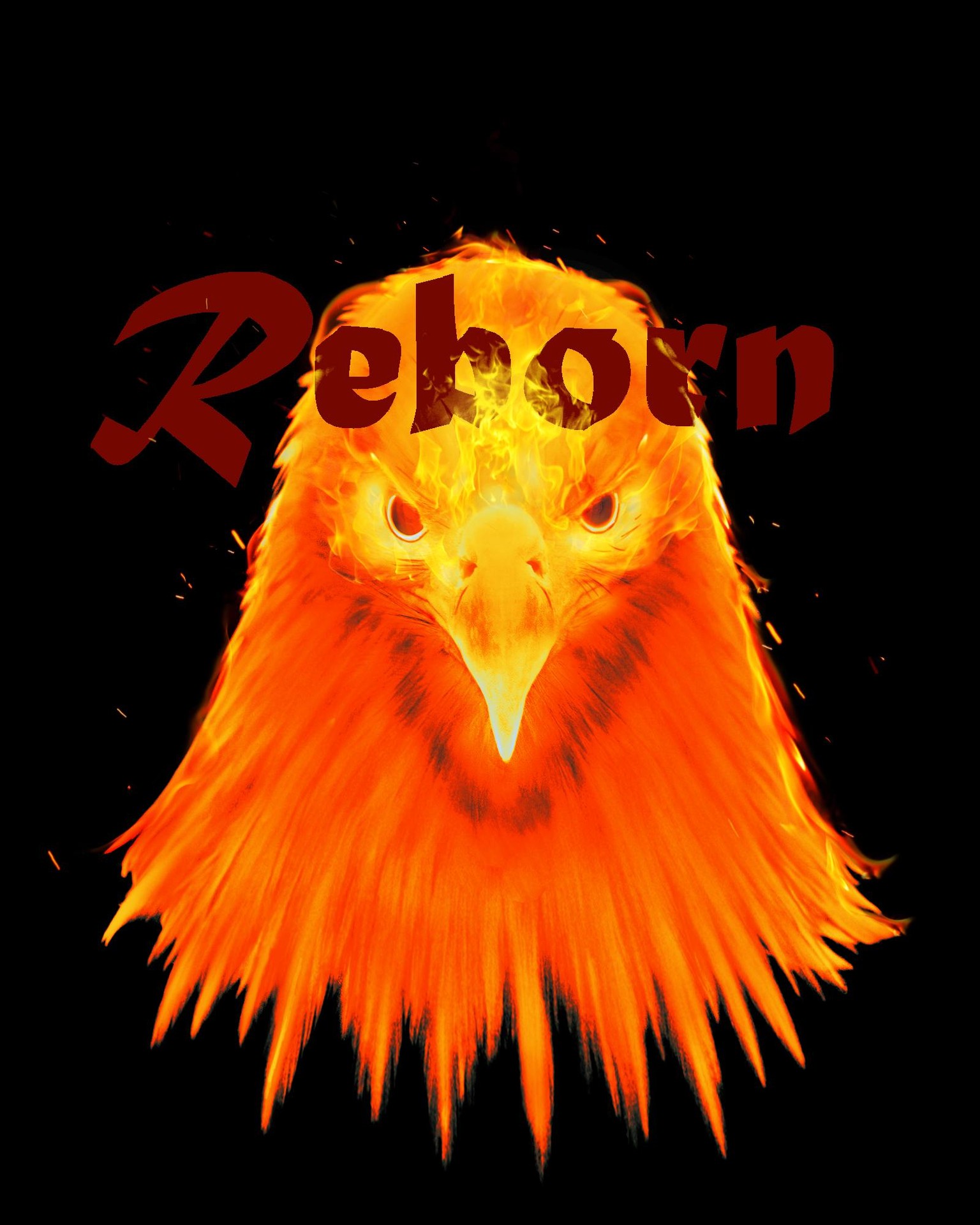 The Orange Bird - image 1 - student project