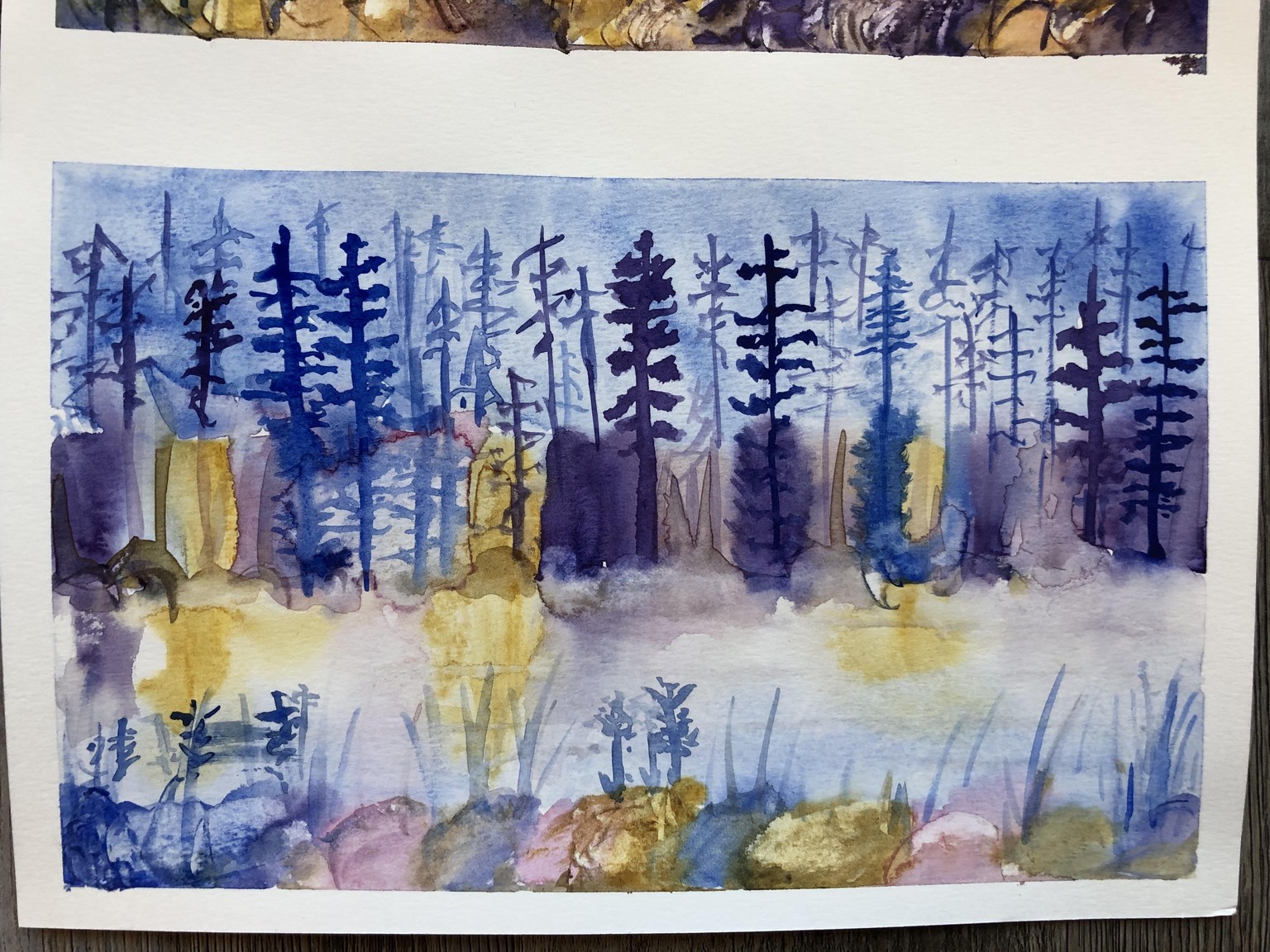Landscape with reflections - image 1 - student project