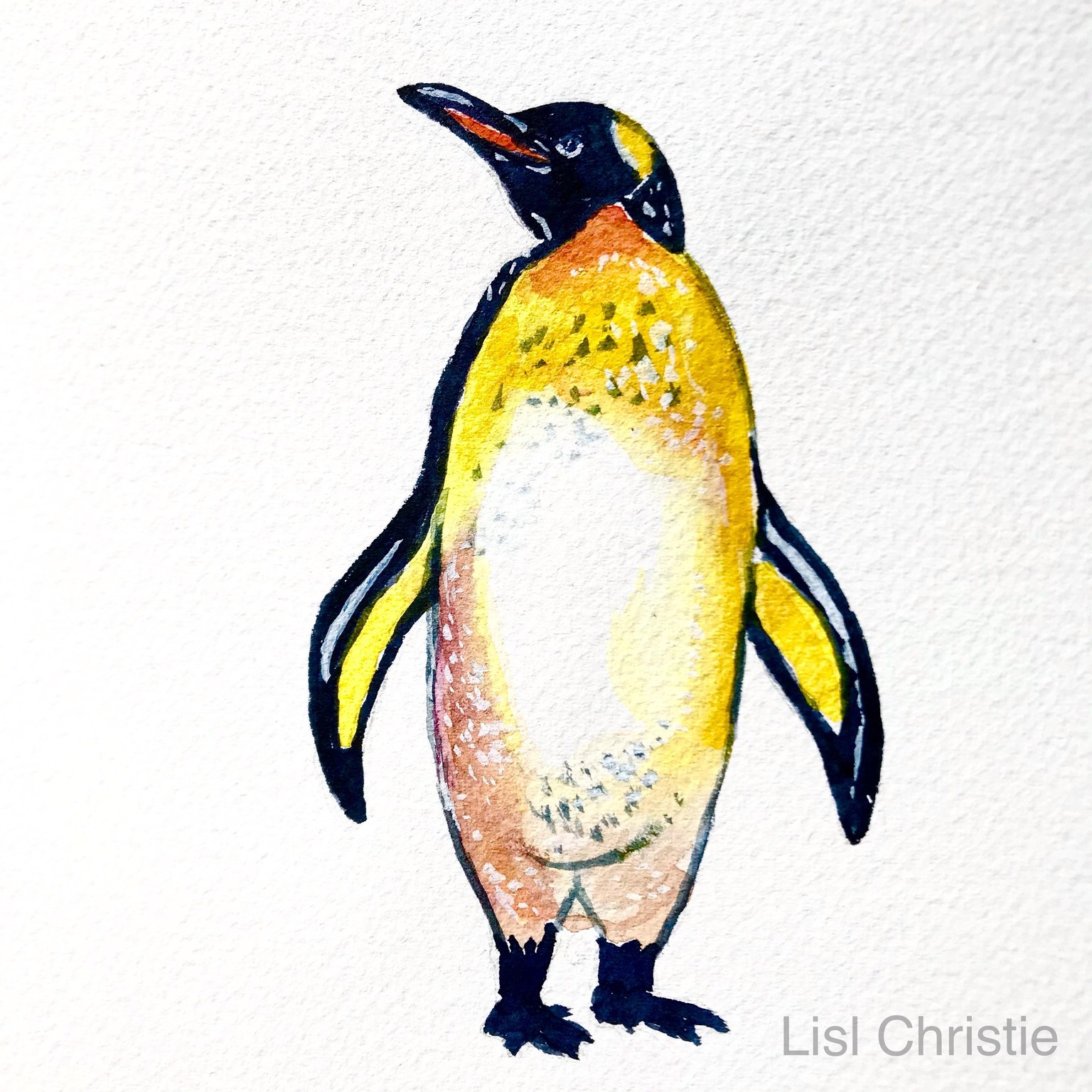 Cute Little Animals - image 1 - student project