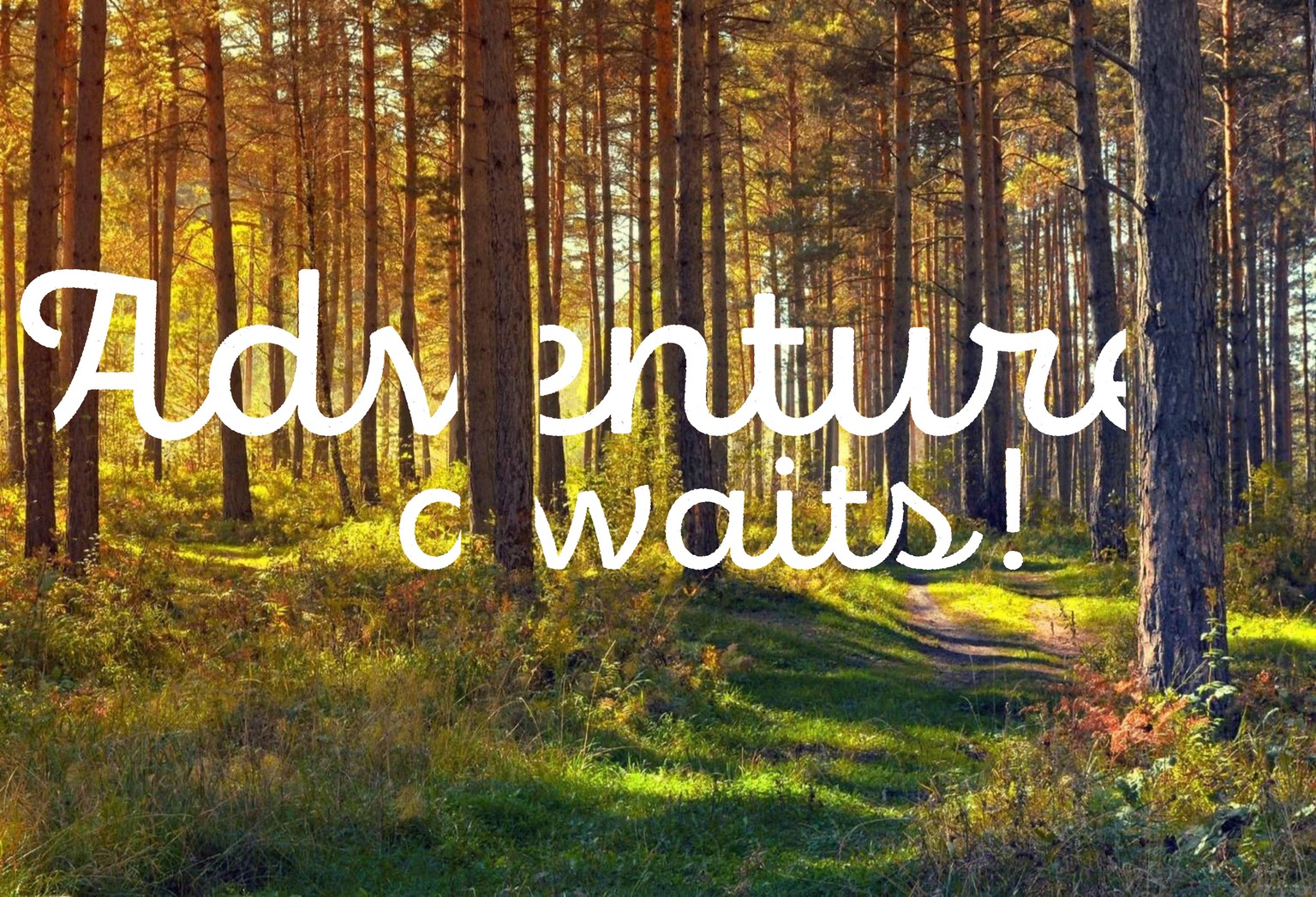 Adventure Awaits - image 1 - student project