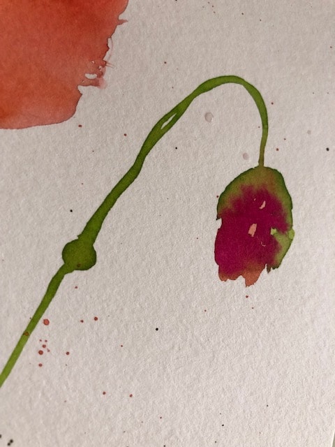 Poppies with Michelle Kral - image 3 - student project