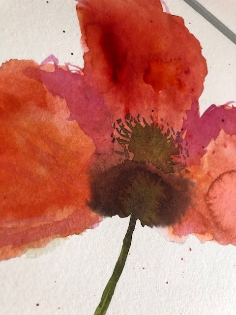 Poppies with Michelle Kral - image 4 - student project