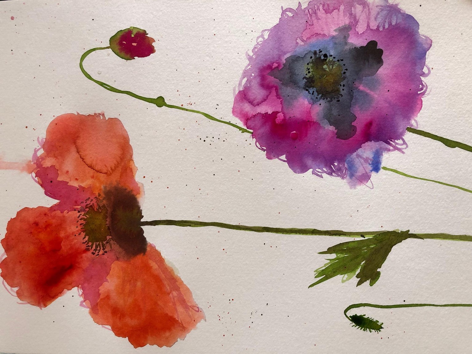 Poppies with Michelle Kral - image 1 - student project