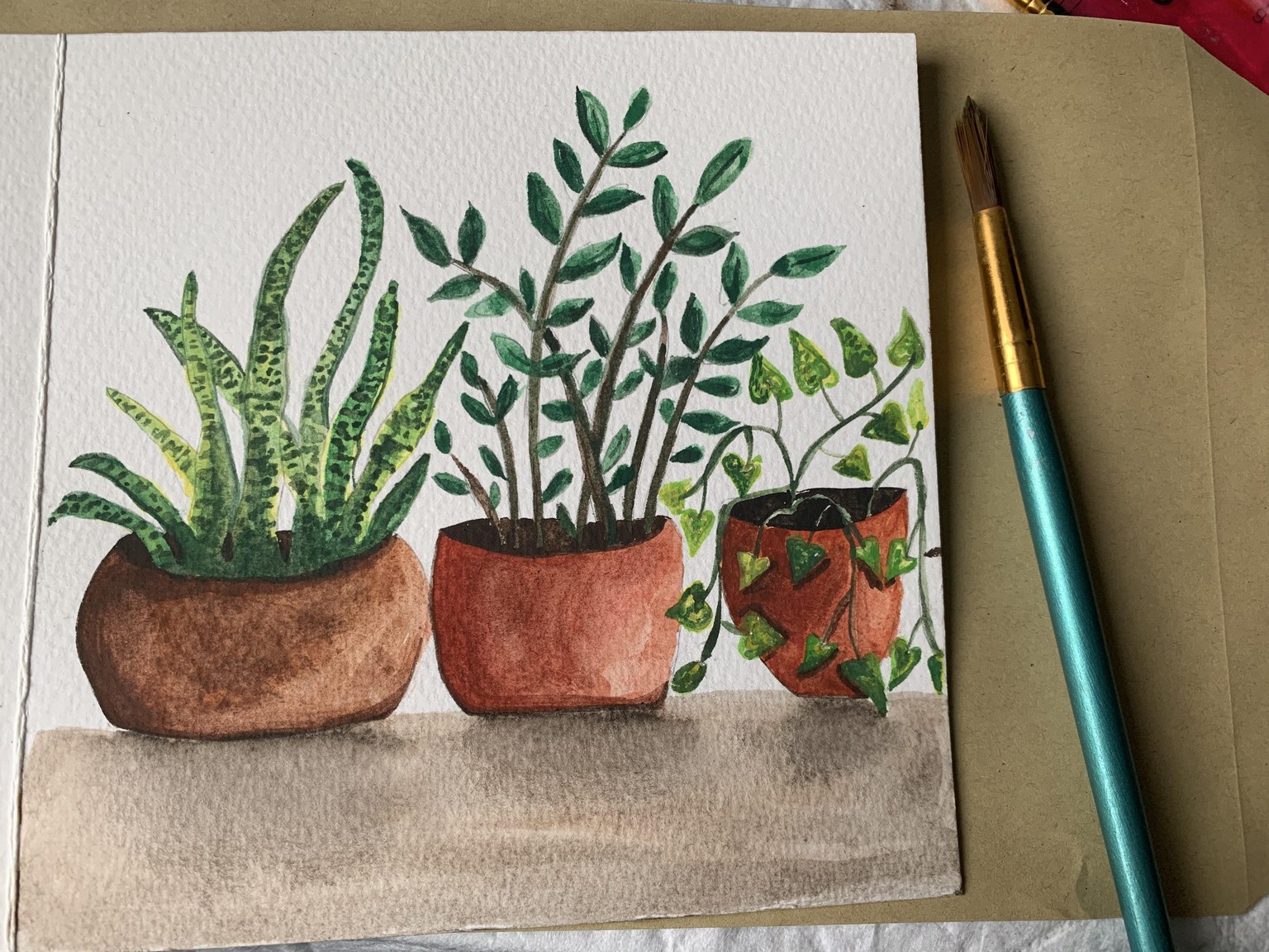 Watercolour Houseplants - image 1 - student project