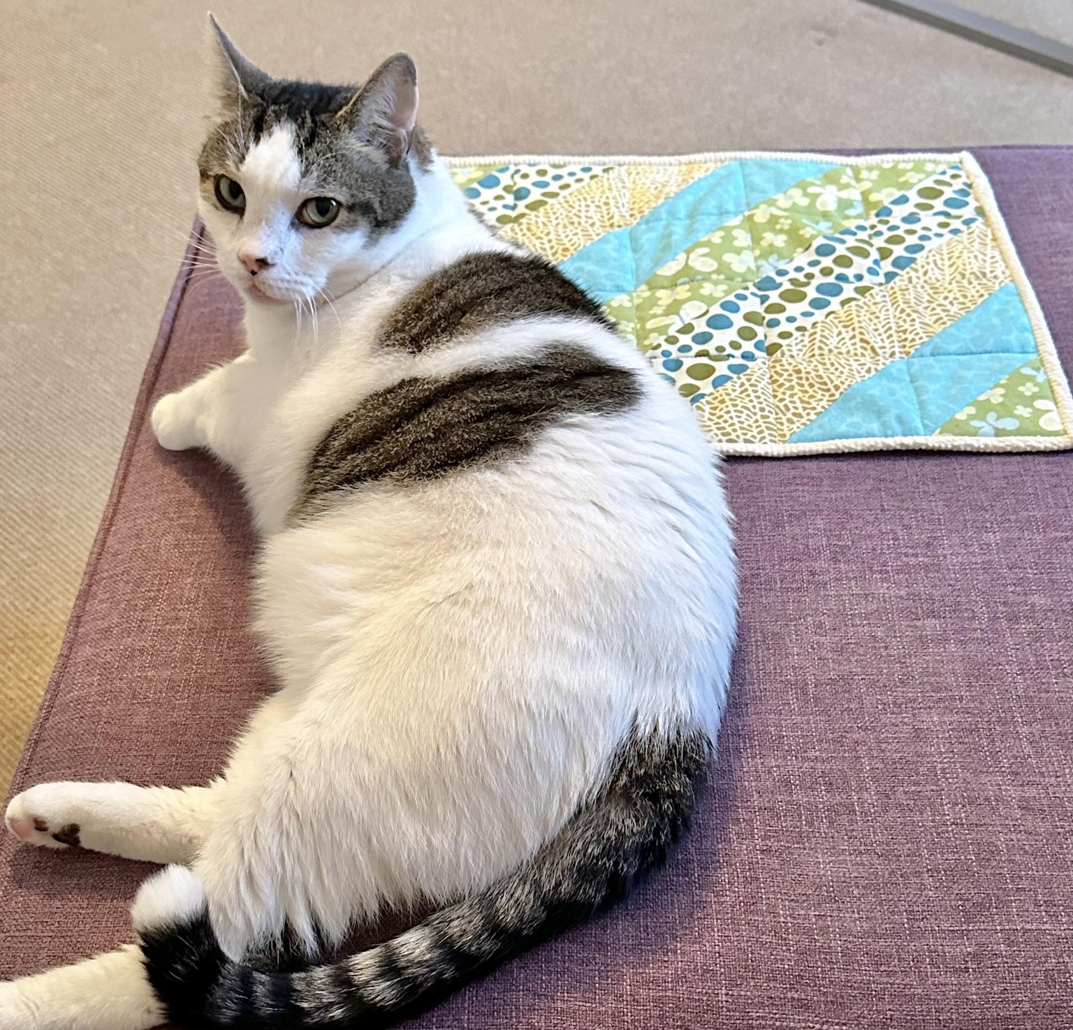 Striped Mini Quilt - image 1 - student project
