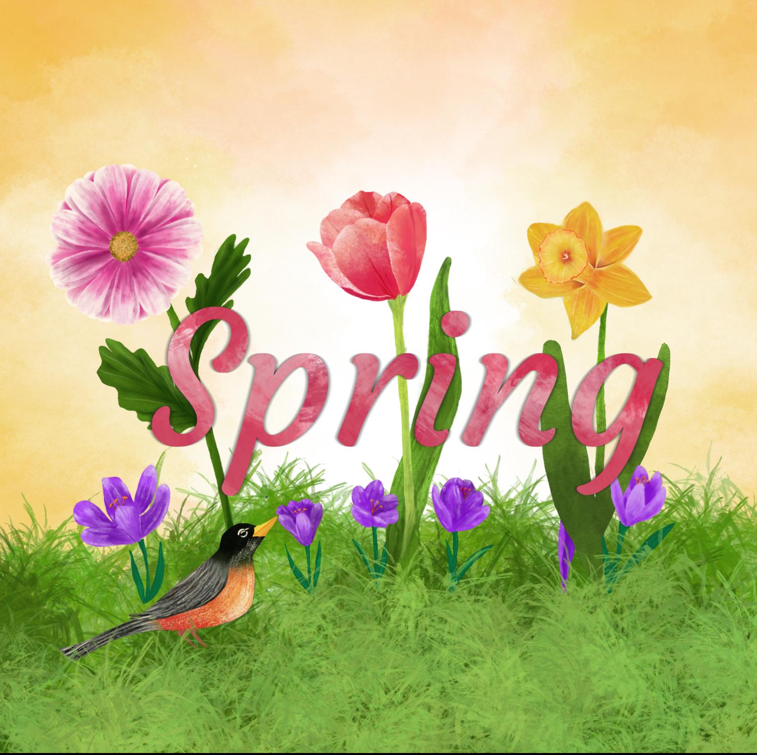 Welcome Spring - image 5 - student project