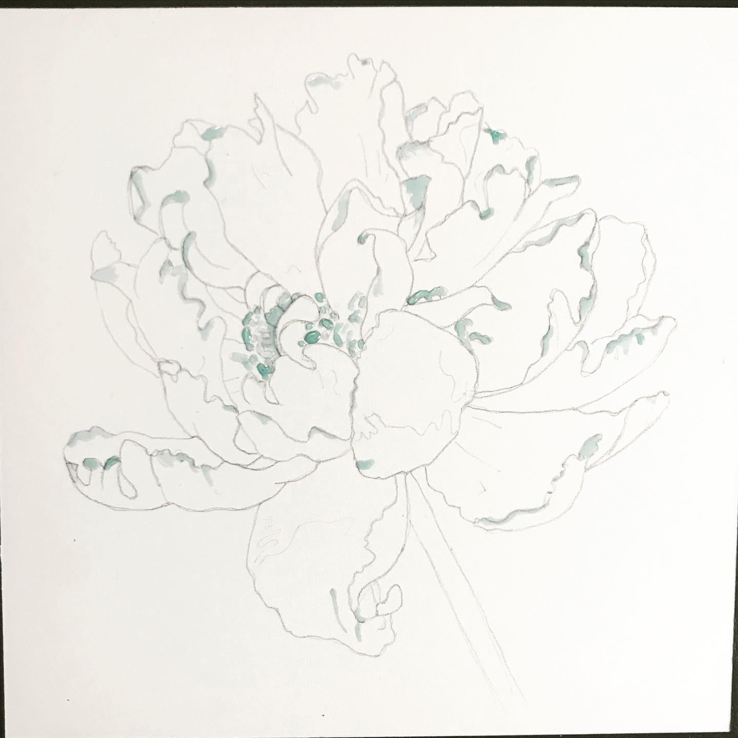 Peony with Anna - image 1 - student project