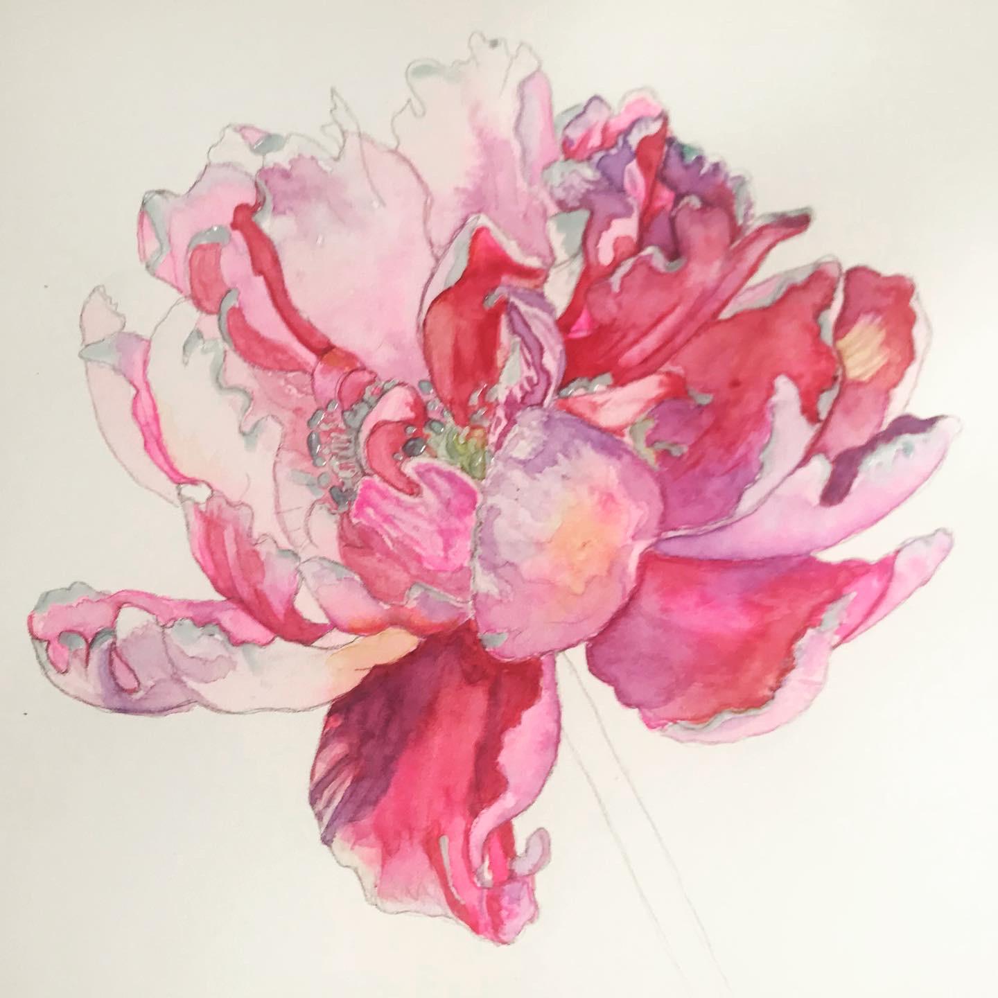 Peony with Anna - image 4 - student project