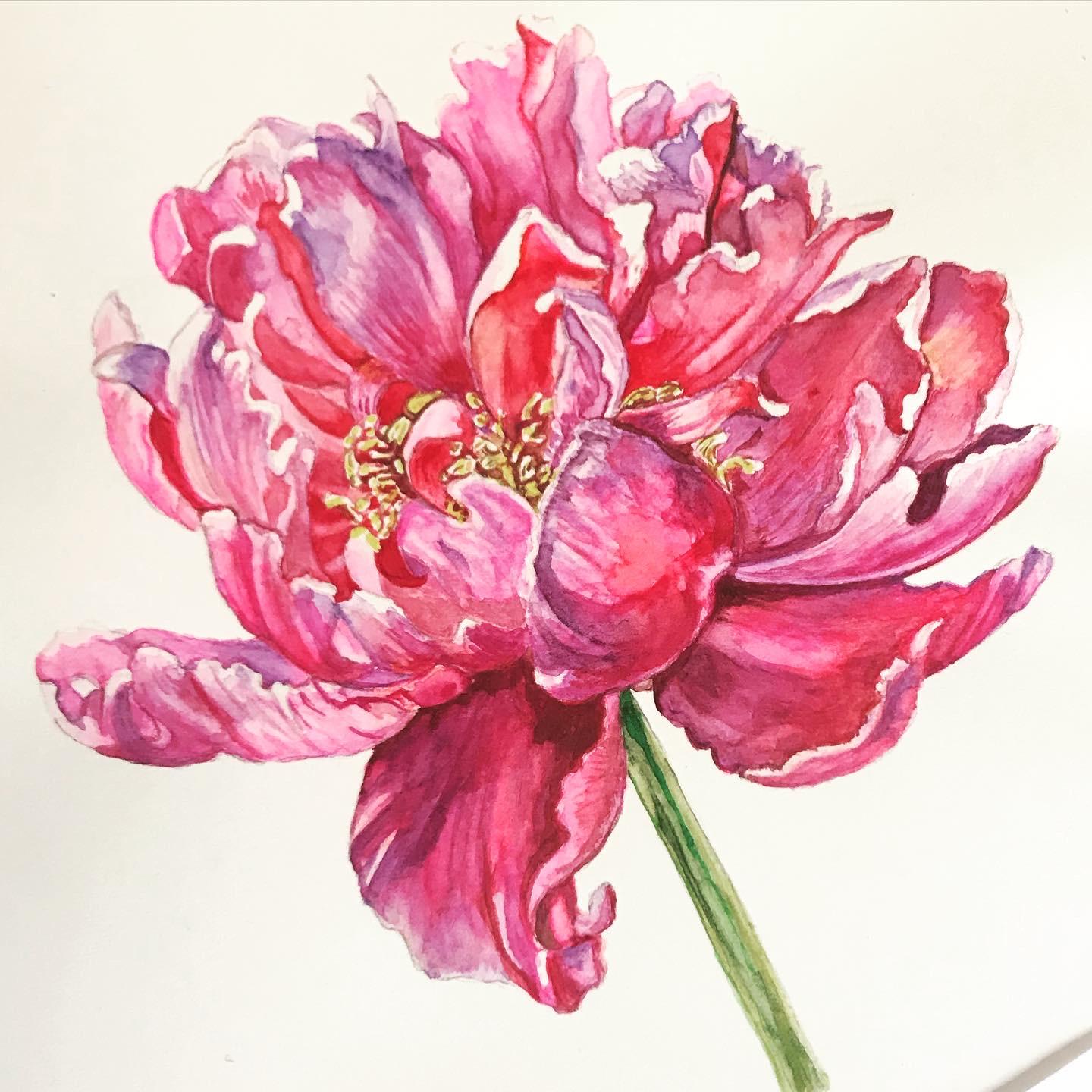 Peony with Anna - image 6 - student project