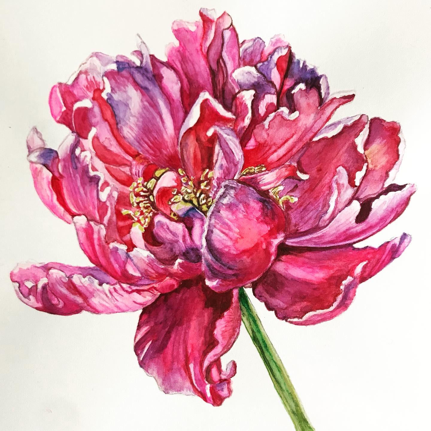 Peony with Anna - image 7 - student project