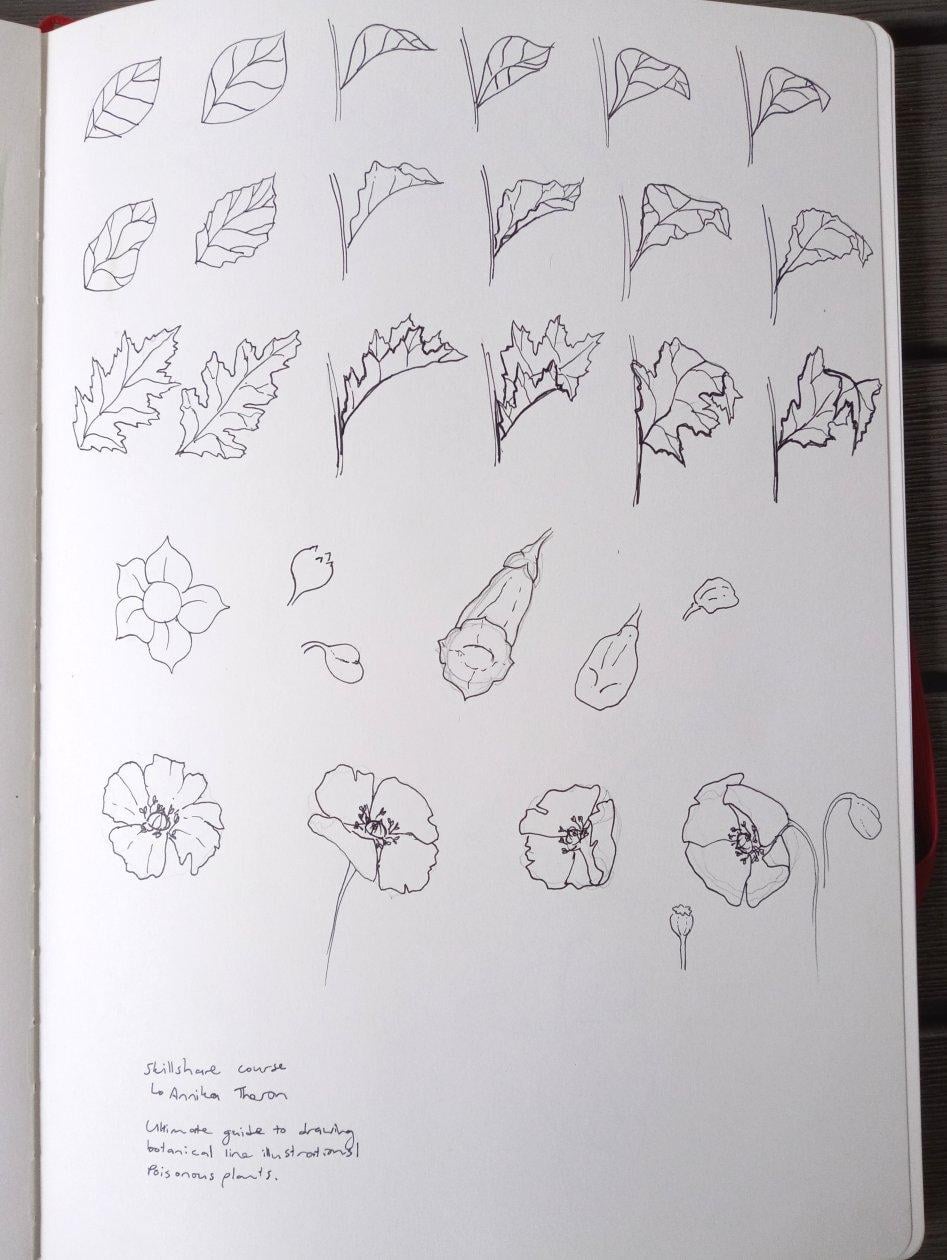 Comprehensive course - image 1 - student project