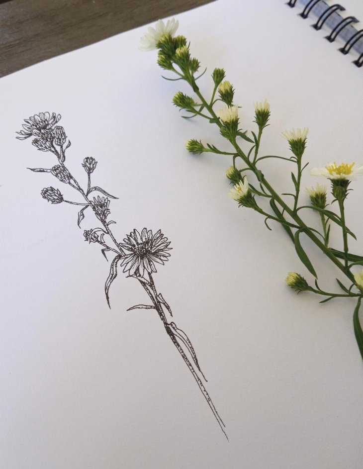 Flowers with more detail - image 1 - student project