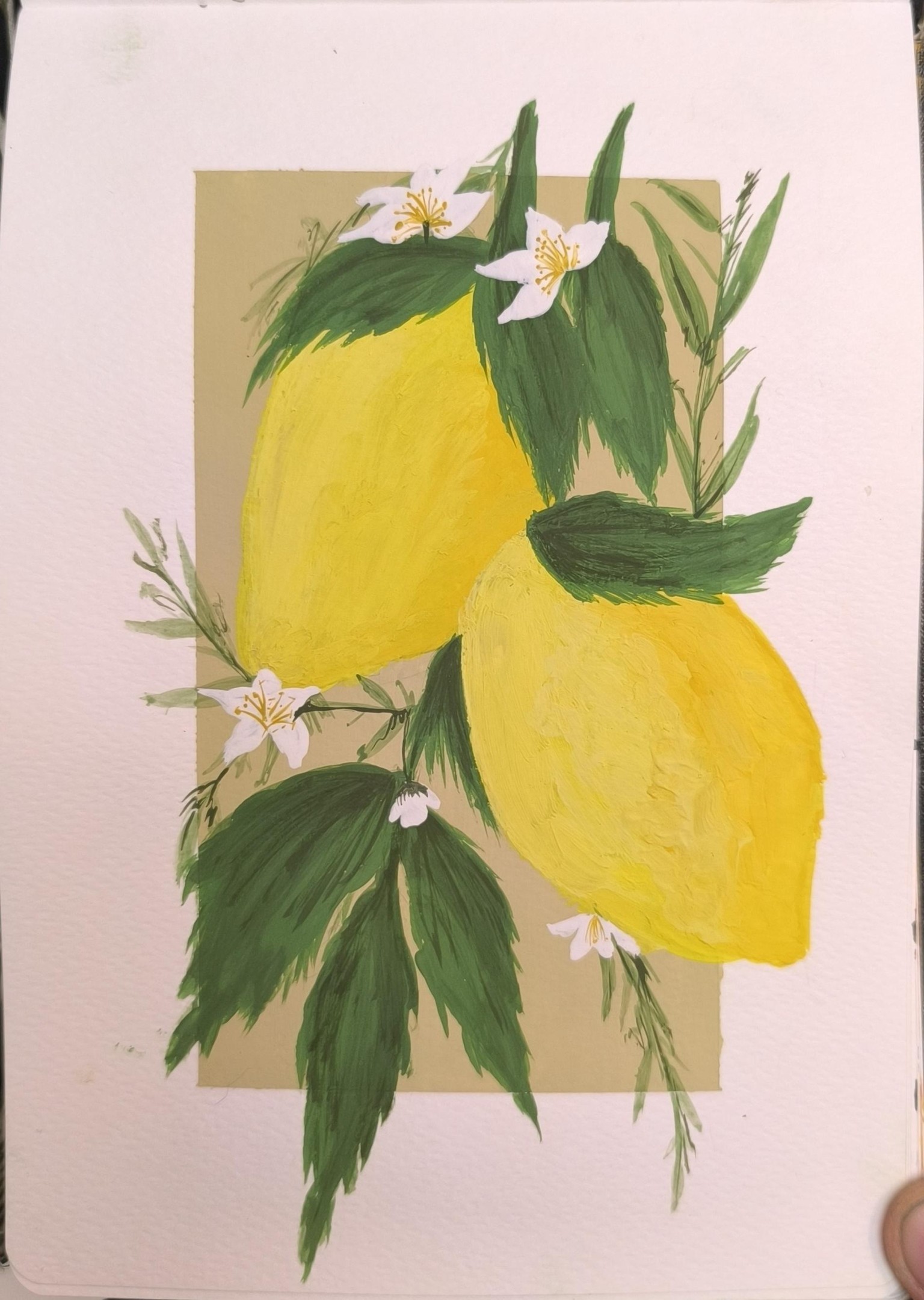 vintage fruit postcard - image 2 - student project
