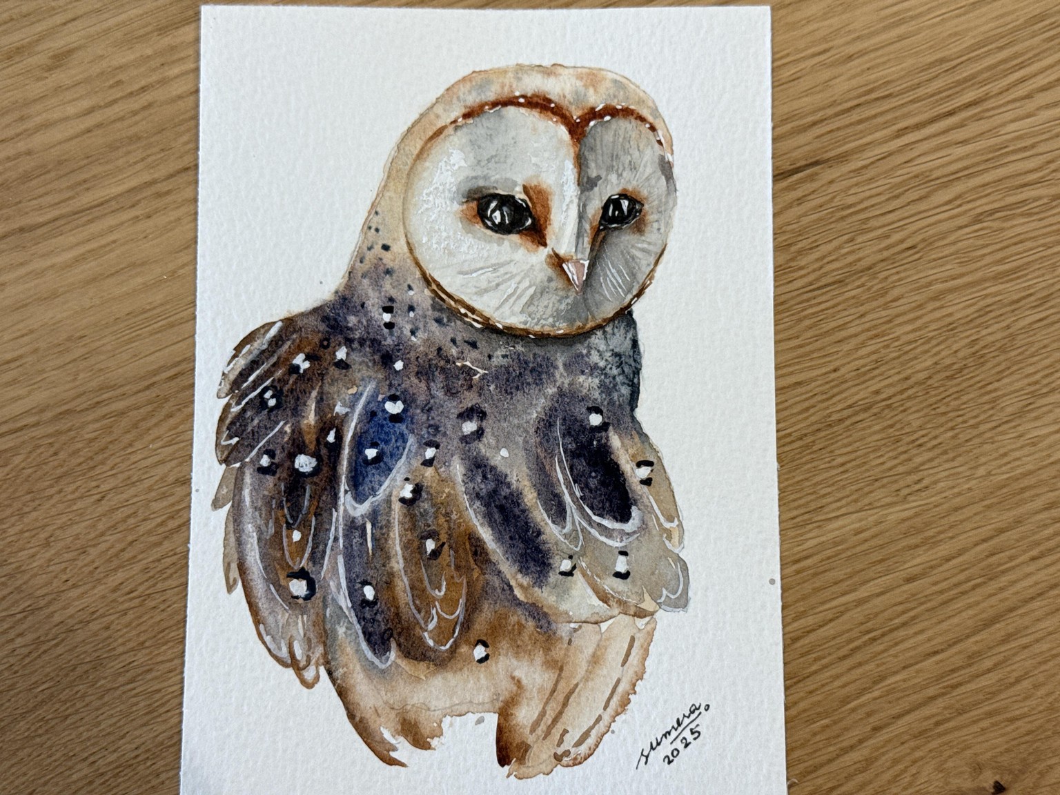 Barn owl - image 1 - student project