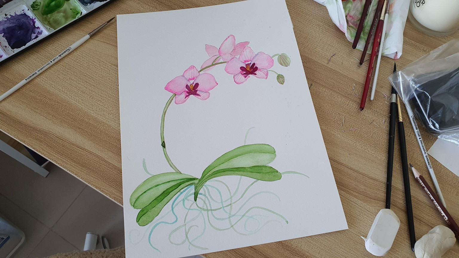Orchids - image 1 - student project