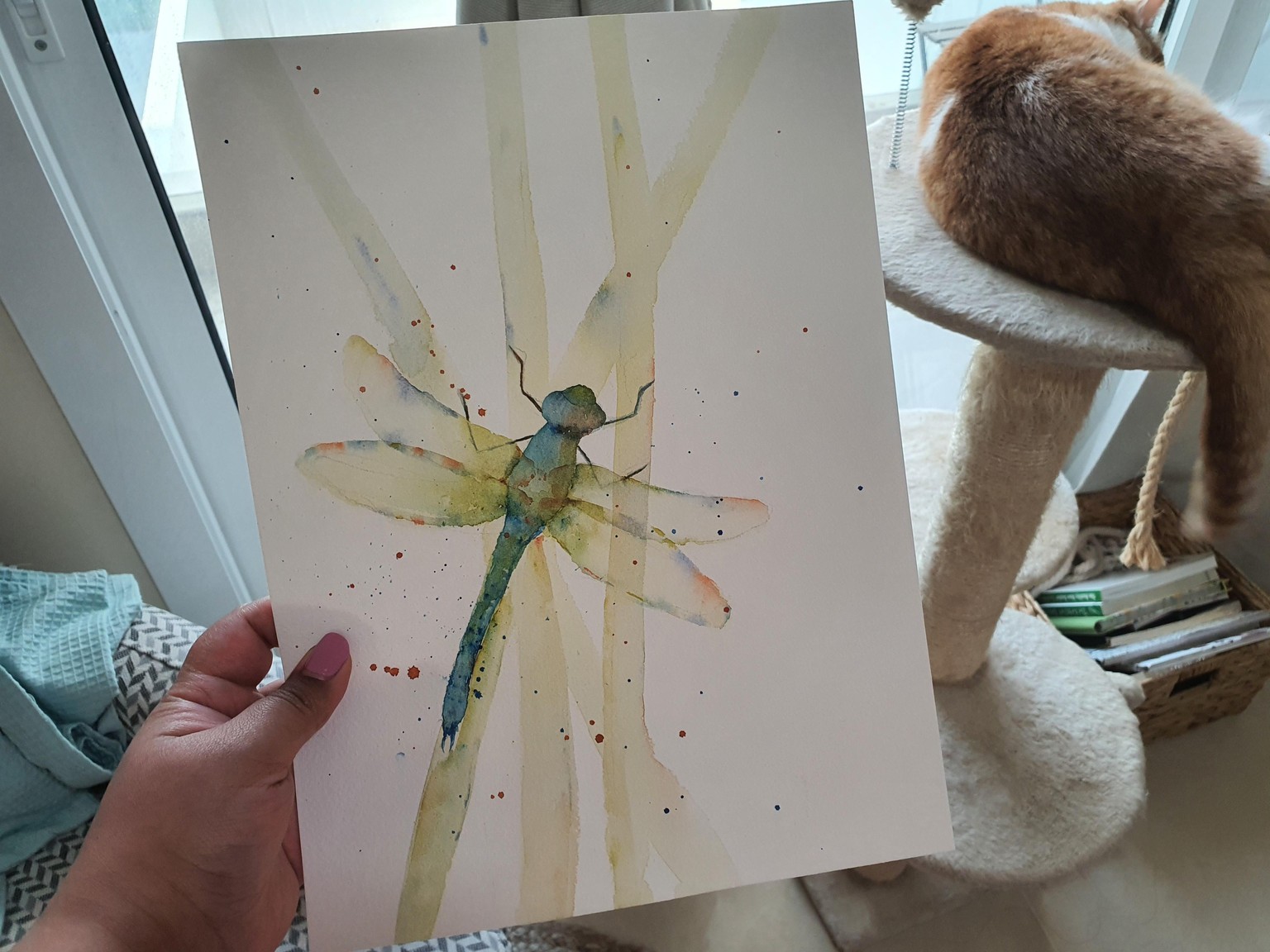 Dragonfly - image 1 - student project