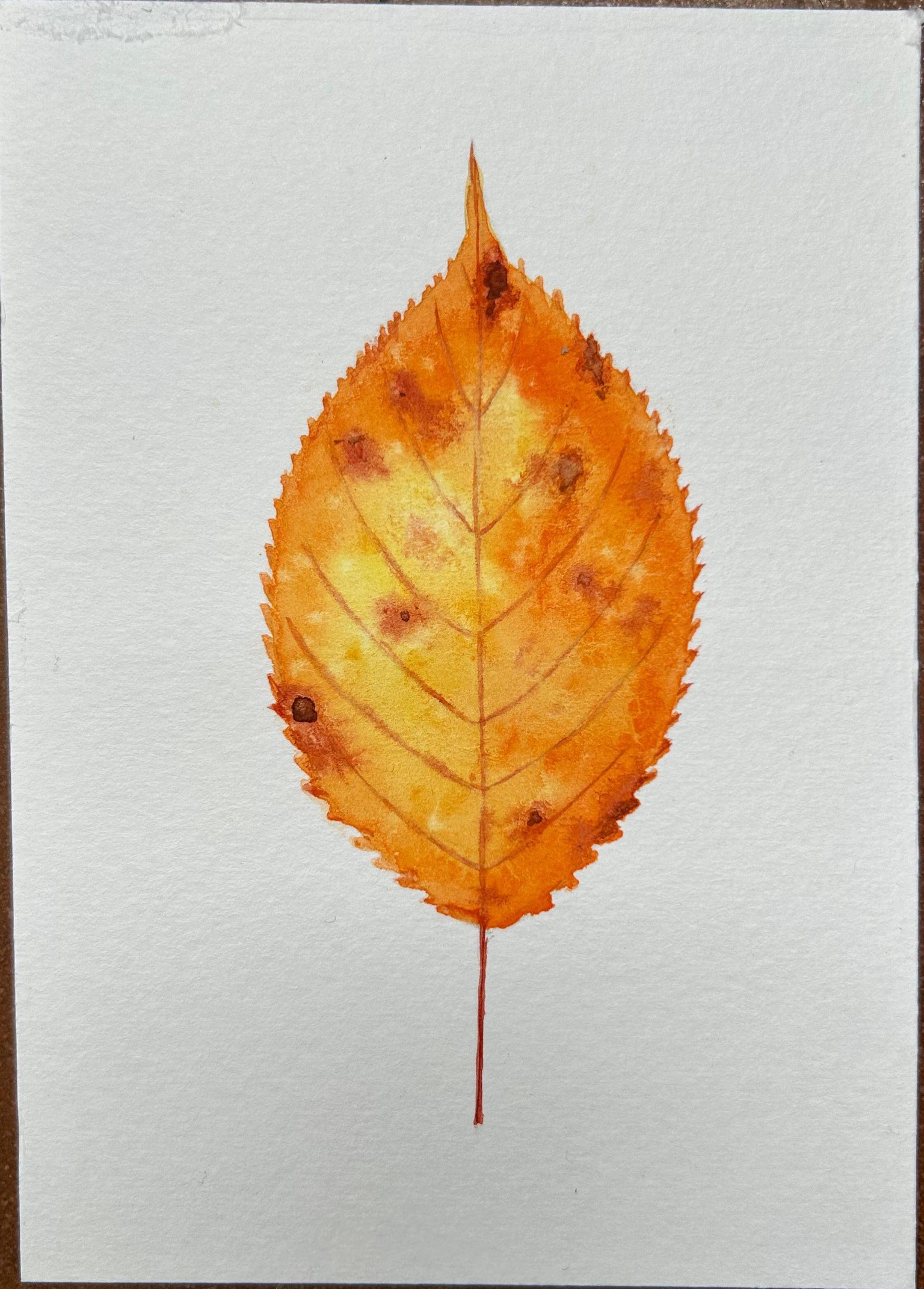 12 Days of Autumn Leaves and Mushrooms - image 1 - student project