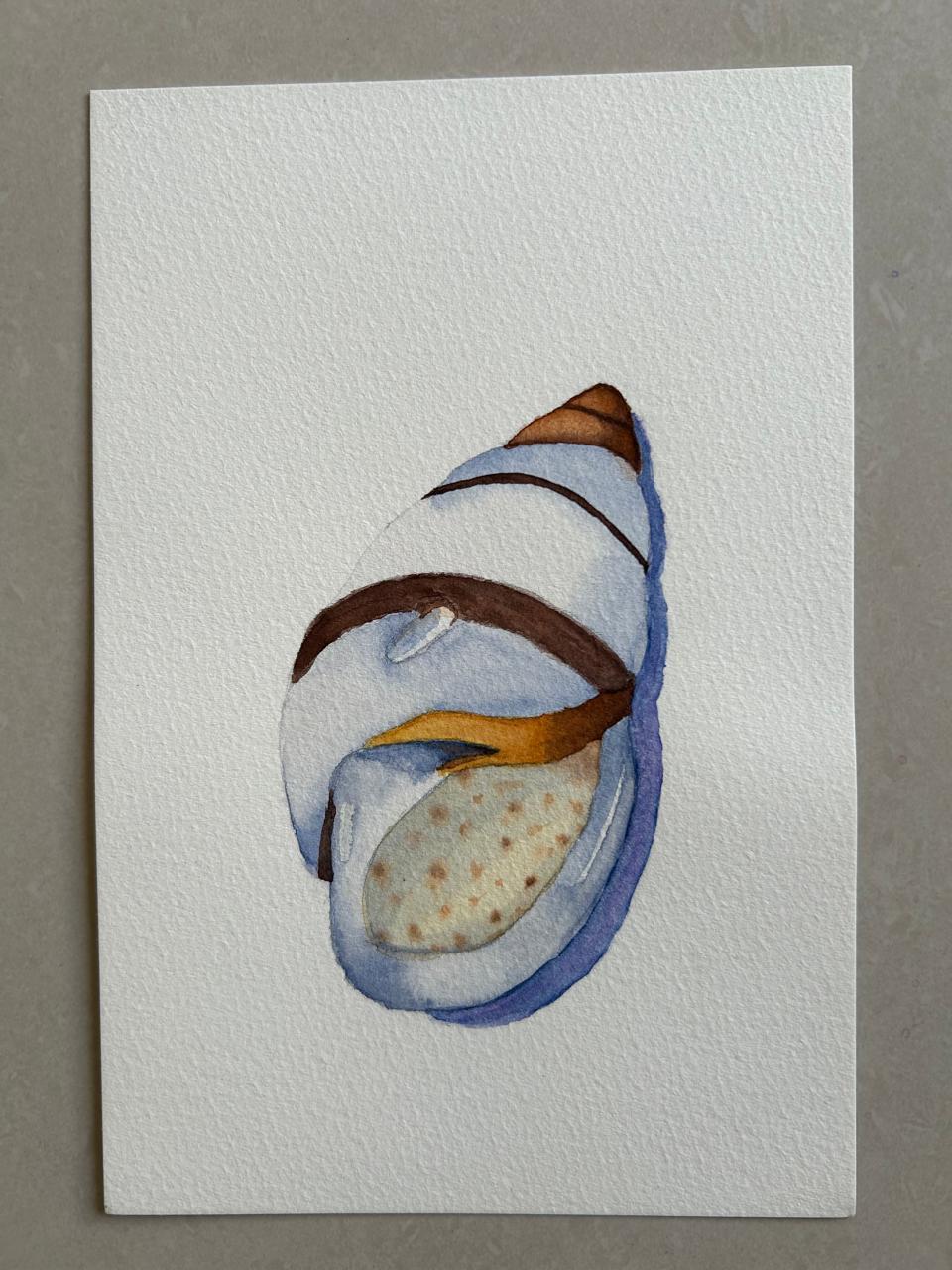 Seashell Serenade - image 2 - student project