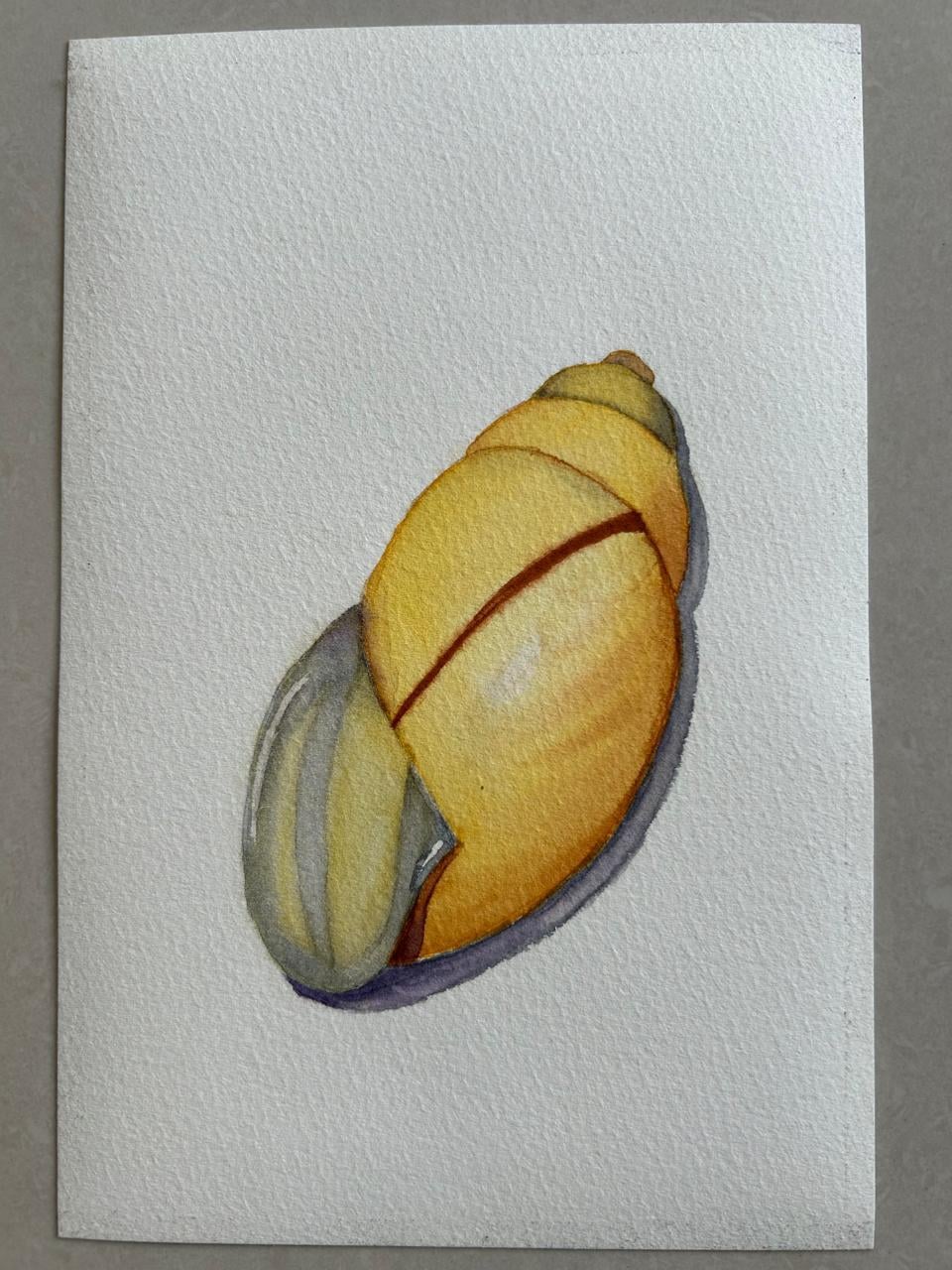 Seashell Serenade - image 1 - student project