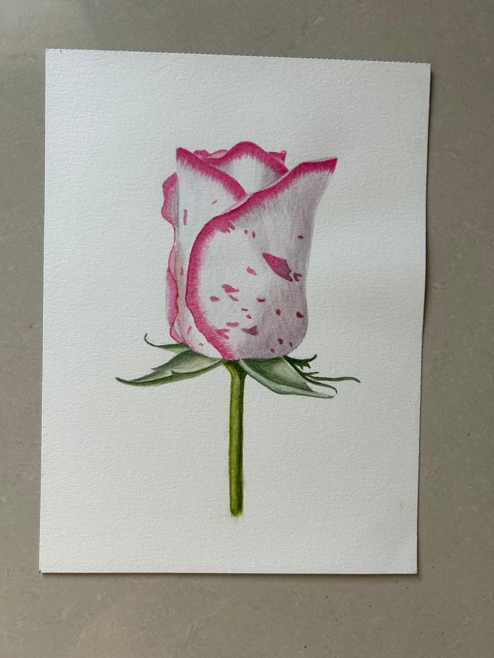 Realistic Rose Watercolor Illustration - image 1 - student project