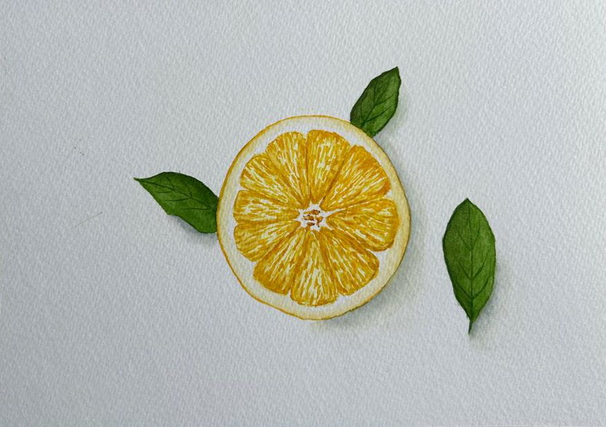 Realistic citrus fruits in watercolor - image 2 - student project