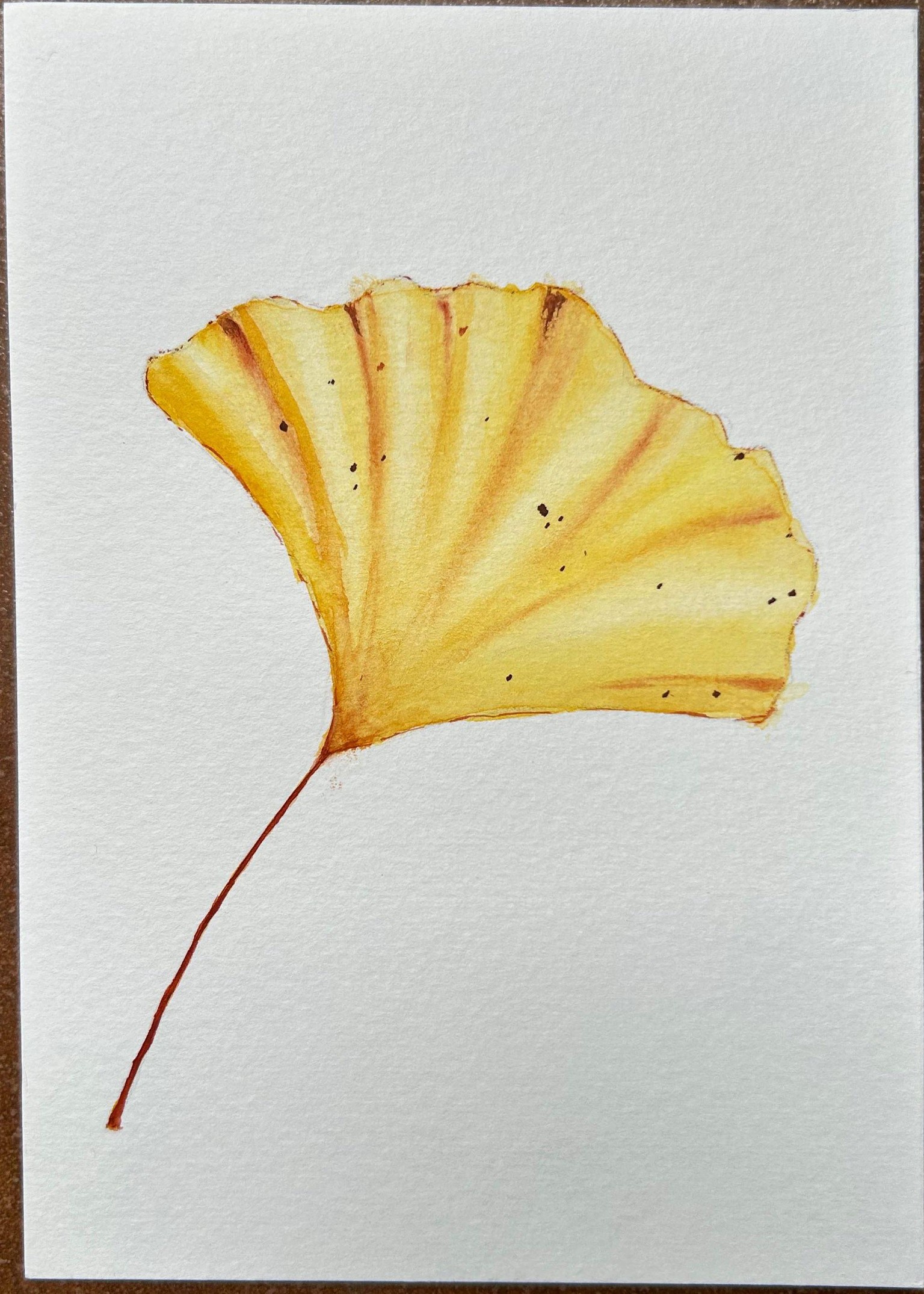 12 Days of Autumn Leaves and Mushrooms - image 2 - student project