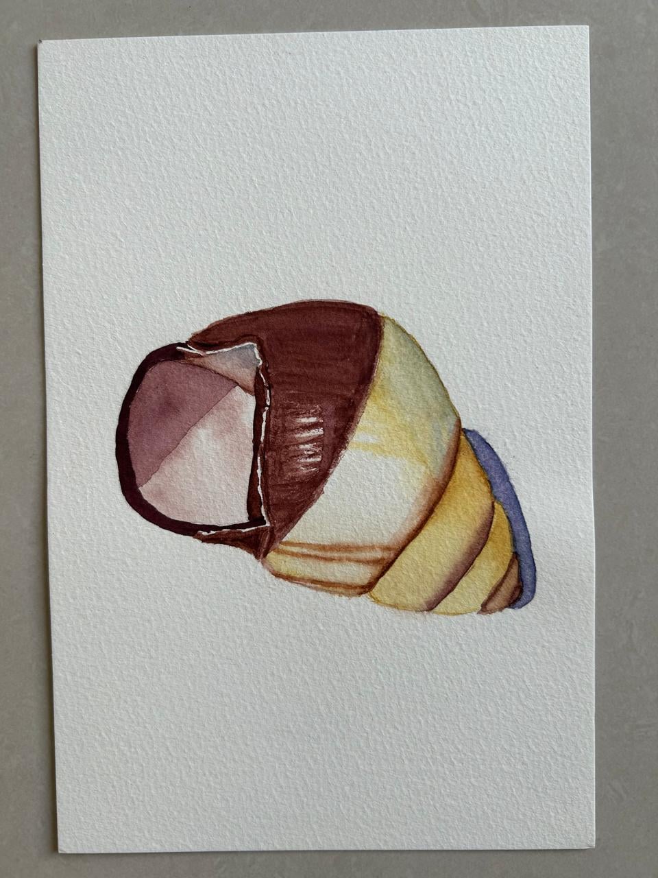 Seashell Serenade - image 3 - student project