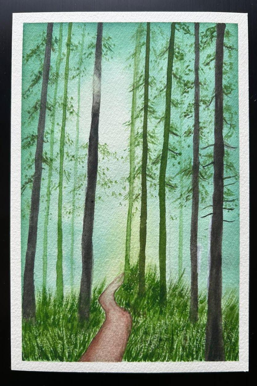 Misty green woods - image 1 - student project