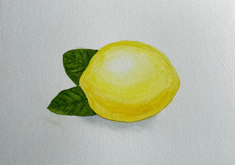 Realistic citrus fruits in watercolor - image 1 - student project