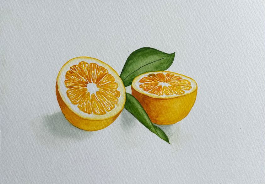 Realistic citrus fruits in watercolor - image 3 - student project