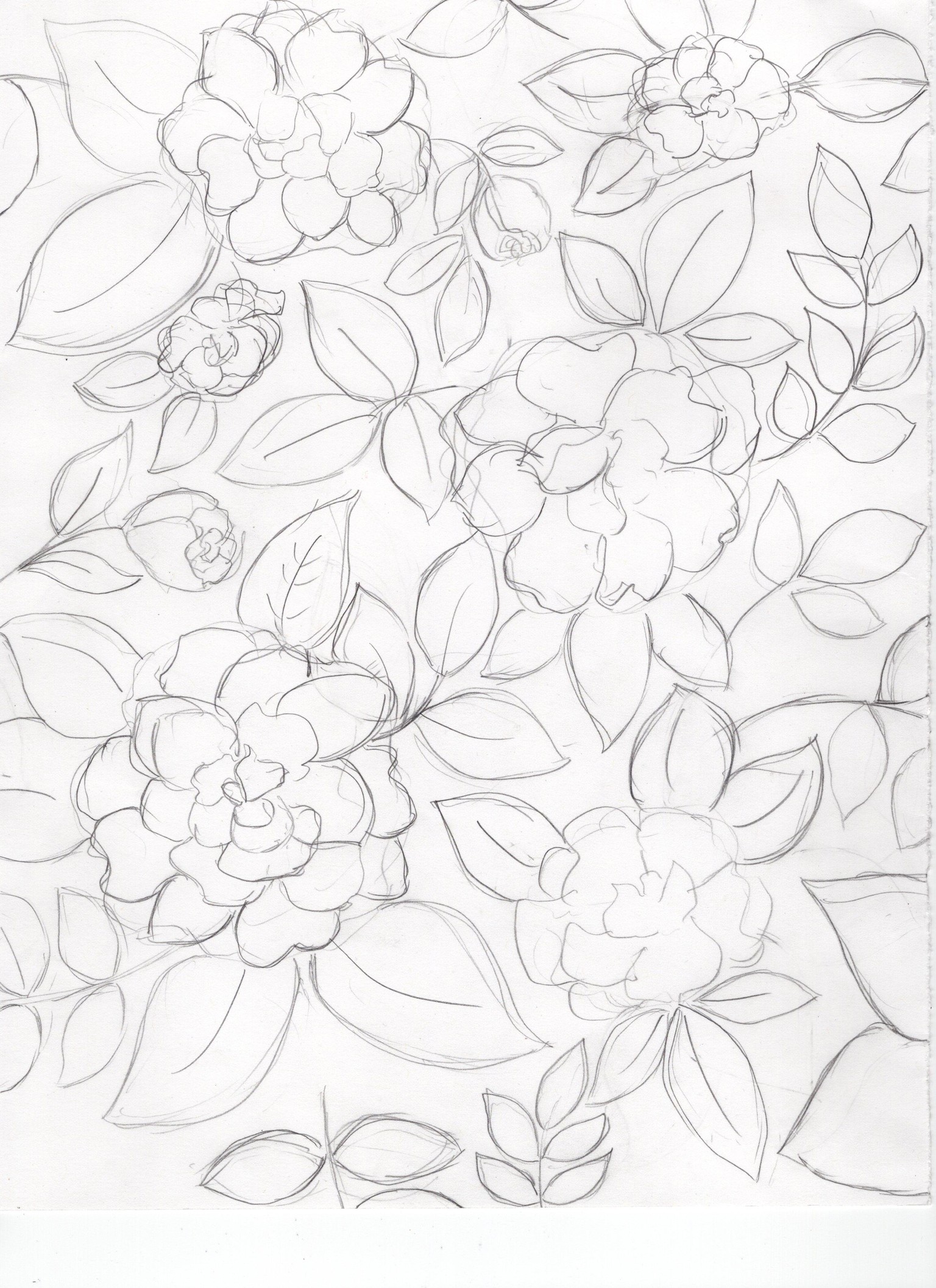 Rose Garden - image 2 - student project