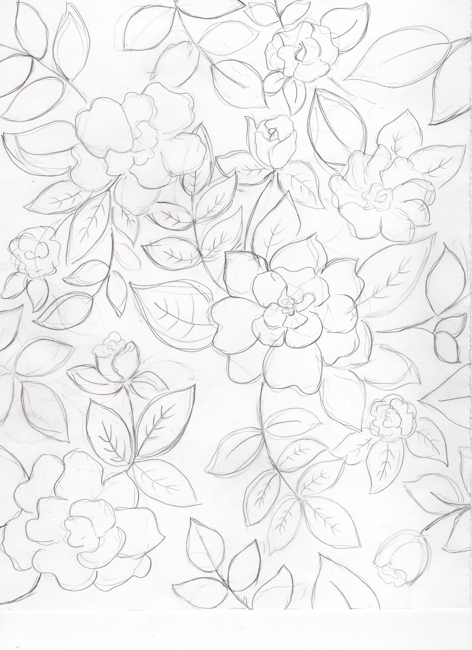 Rose Garden - image 1 - student project