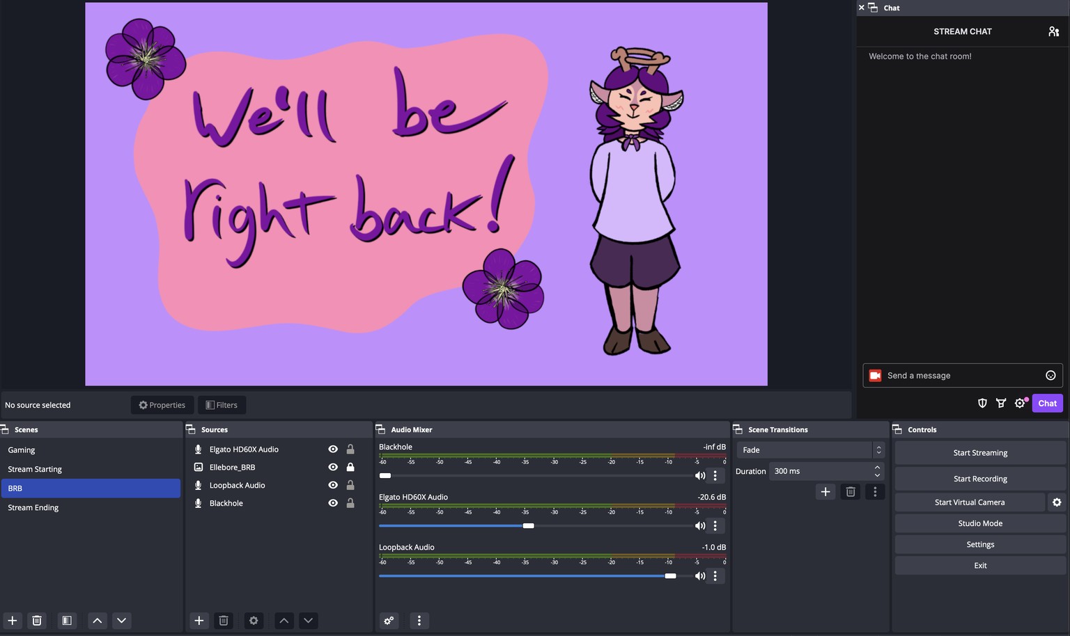 Simple OBS set-up - image 2 - student project