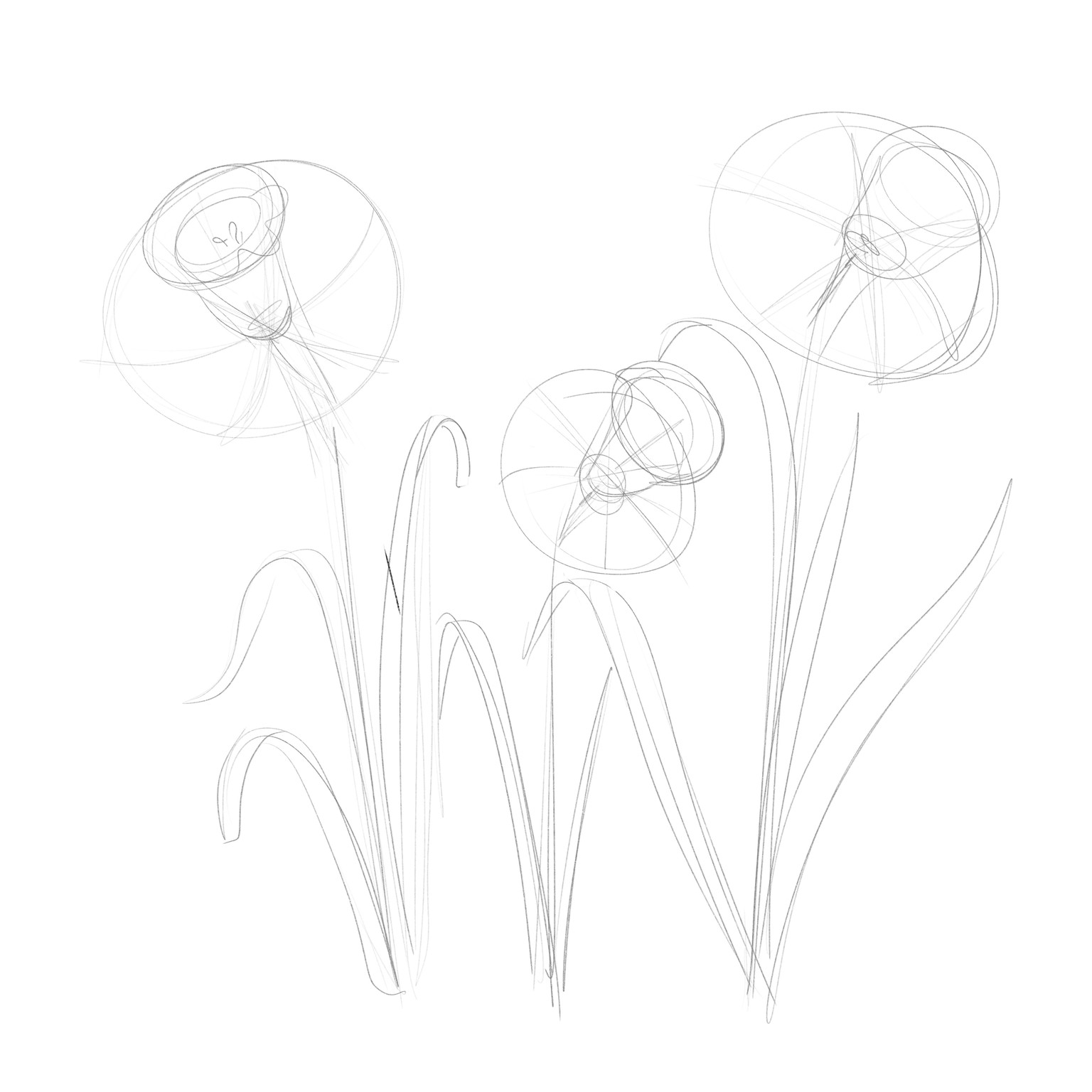 Daffodil Flower - image 1 - student project