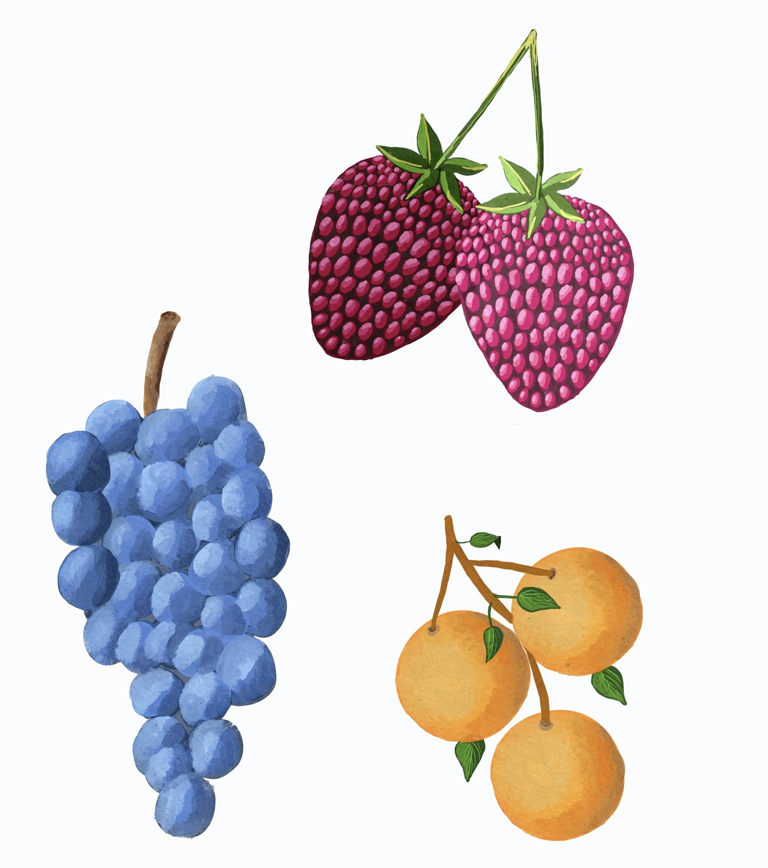 Digital fruit painting in Procreate - image 1 - student project
