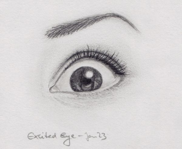 Expressive Eyes - image 1 - student project