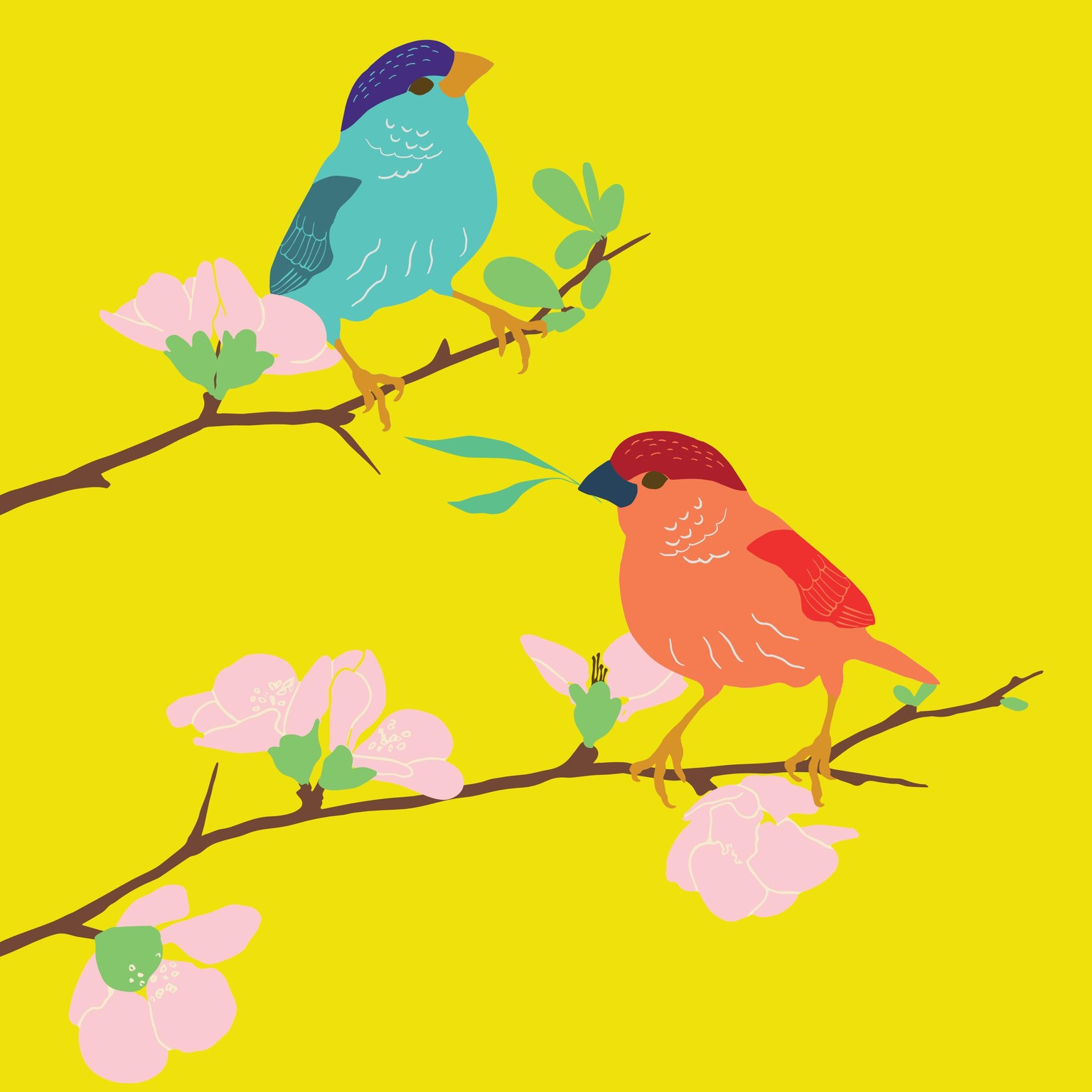 My little Finch - image 1 - student project