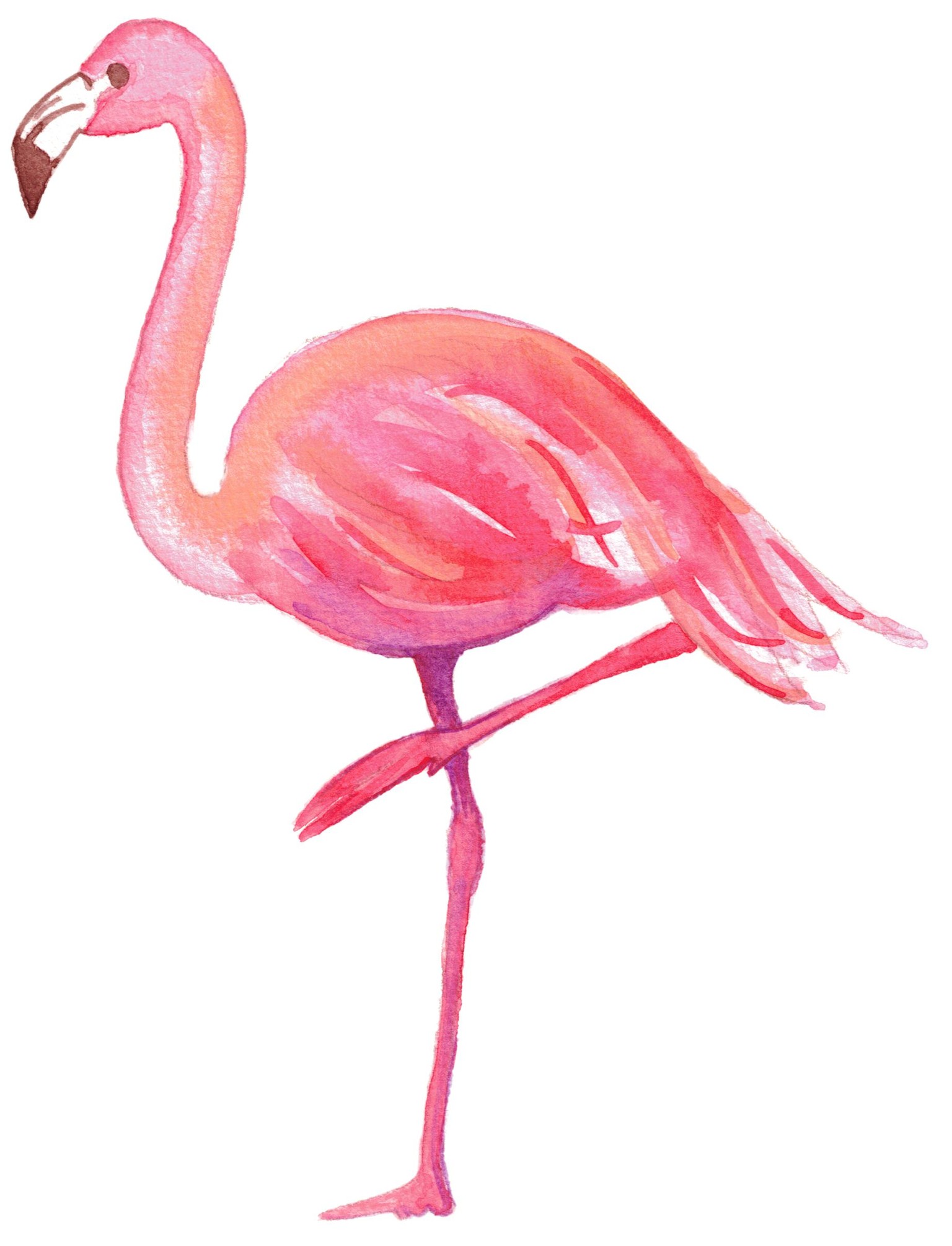 Flamingo - image 1 - student project