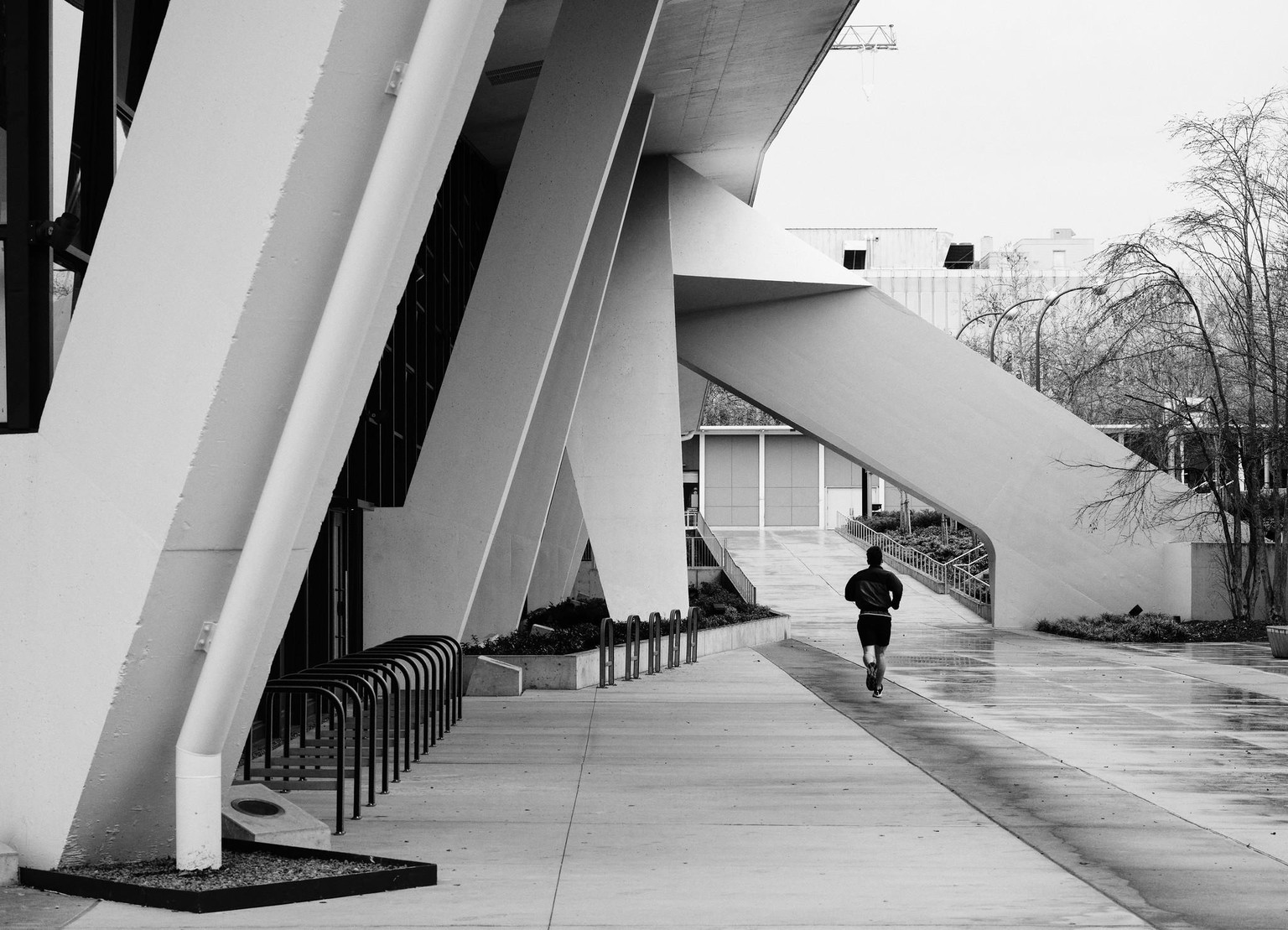 Cityscapes: Seattle - image 4 - student project