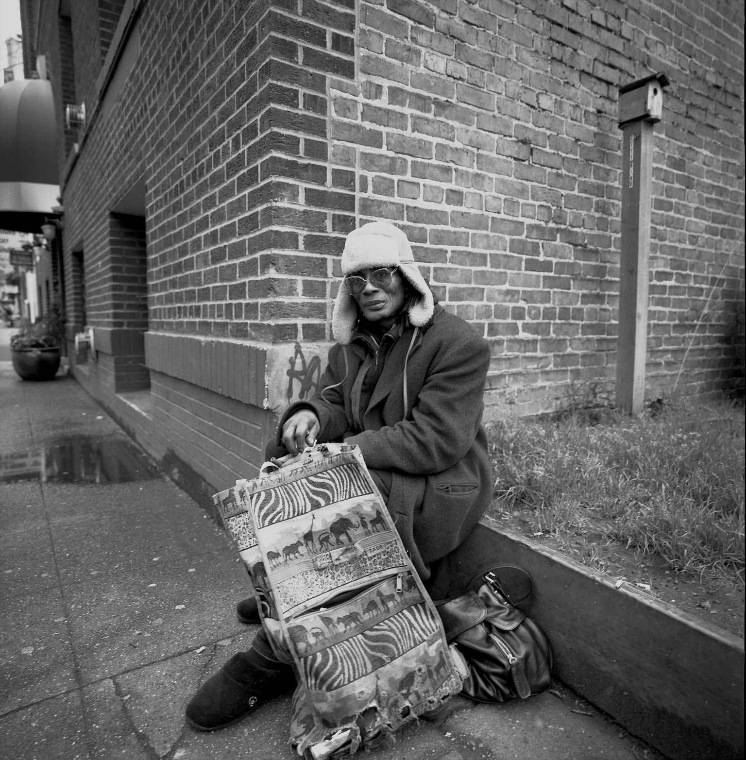 Street portraits - image 4 - student project